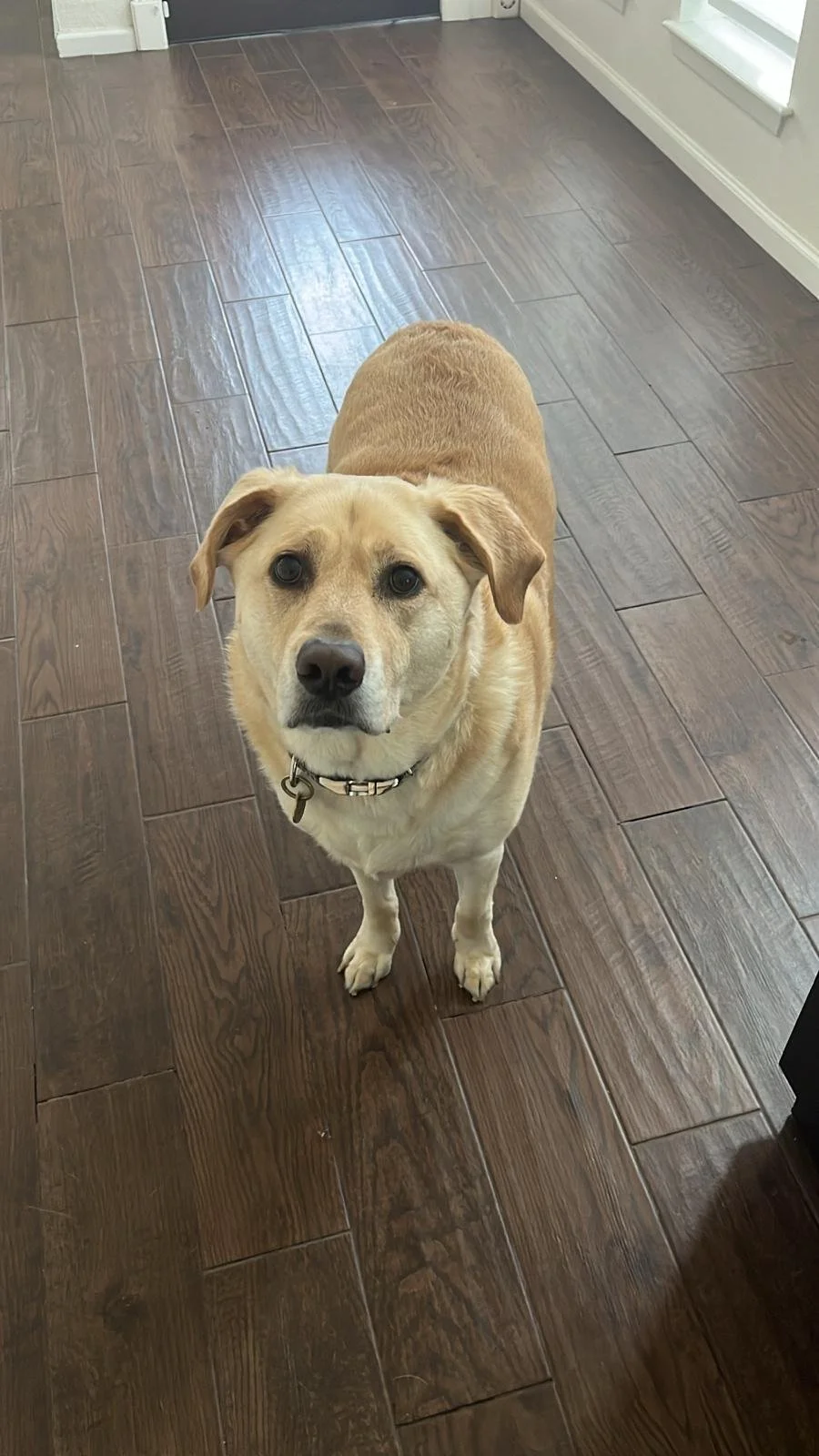 WhatsApp Image 2025-11-22 at 08.36.35_d48fd5e2.jpg