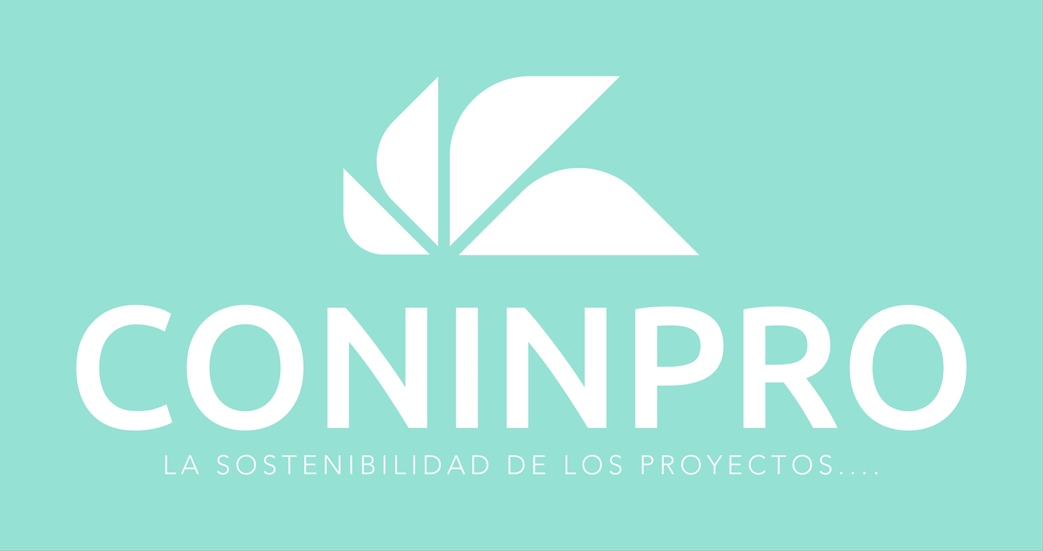 CONSTRUCCIONES E INVERSIONES EN PROYECTOS
