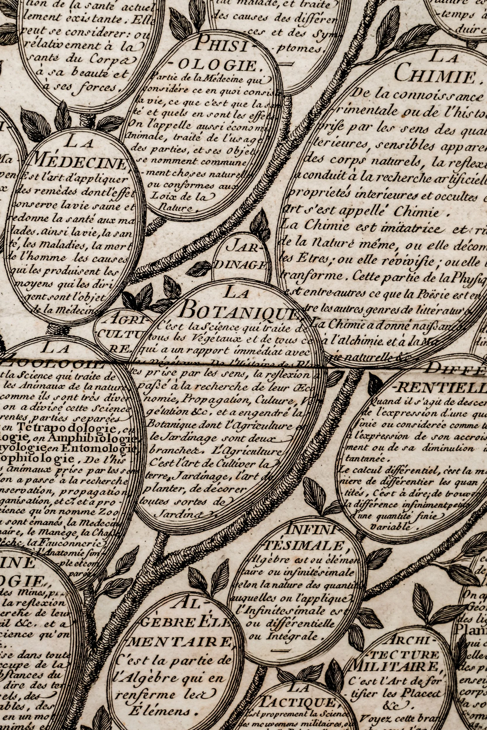 Valencia 2025-327.jpg