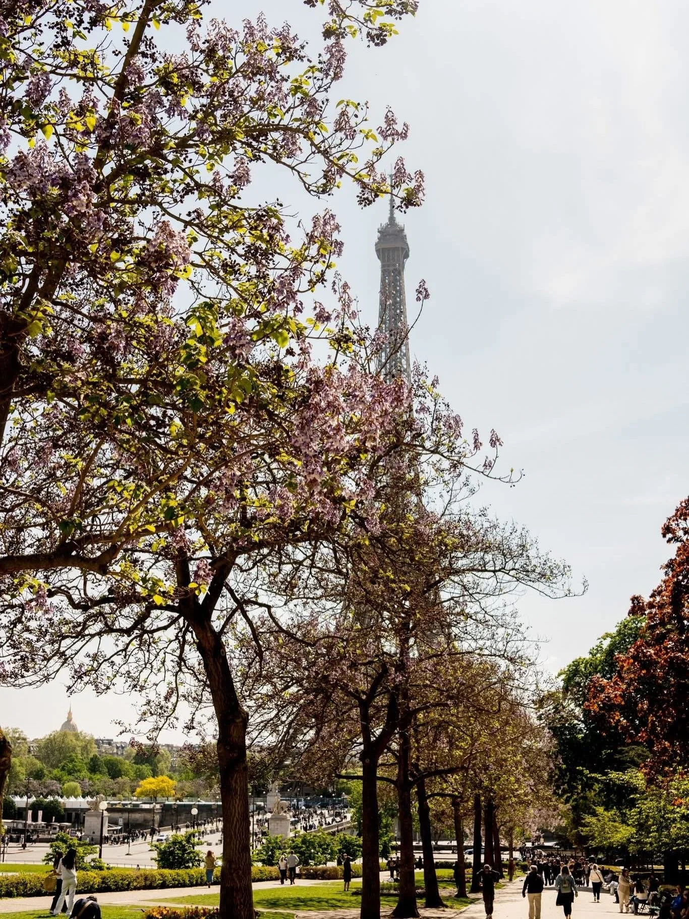 Paris in the spring. A break to remember. Beautiful weather, food, laughs music and a sparkly ring. To always @rrs.industries 🤍💍🥰