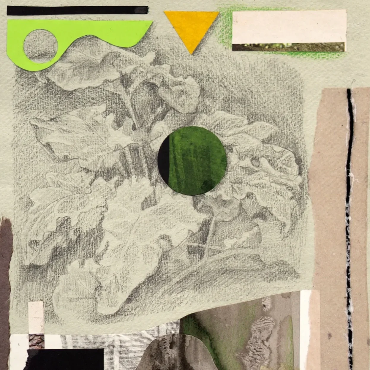 Melissa Oresky Melissa Oresky’s painting and collage-based work explores a deeply felt regard for plants as perceptive and expressive beings. Through observation, study of plant knowledges, and material experimentation, she considers how vegetal life