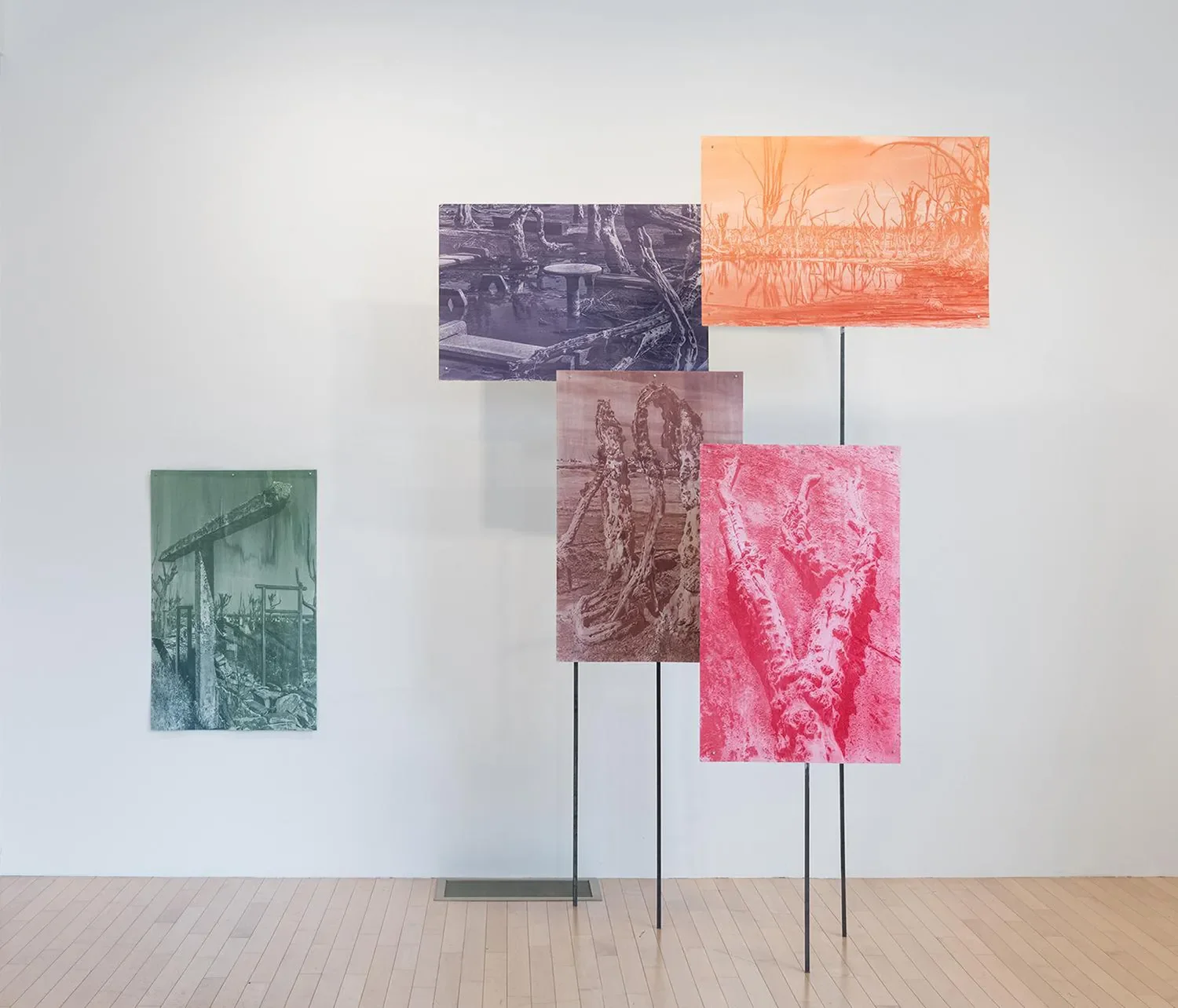 Claudia Cortínez Claudia Kaatziza Cortínez is an Argentine-American artist based in New York working across photography, printmaking, and sculpture. Her work explores architecture, landscape, and material memory through site-responsive processes. She