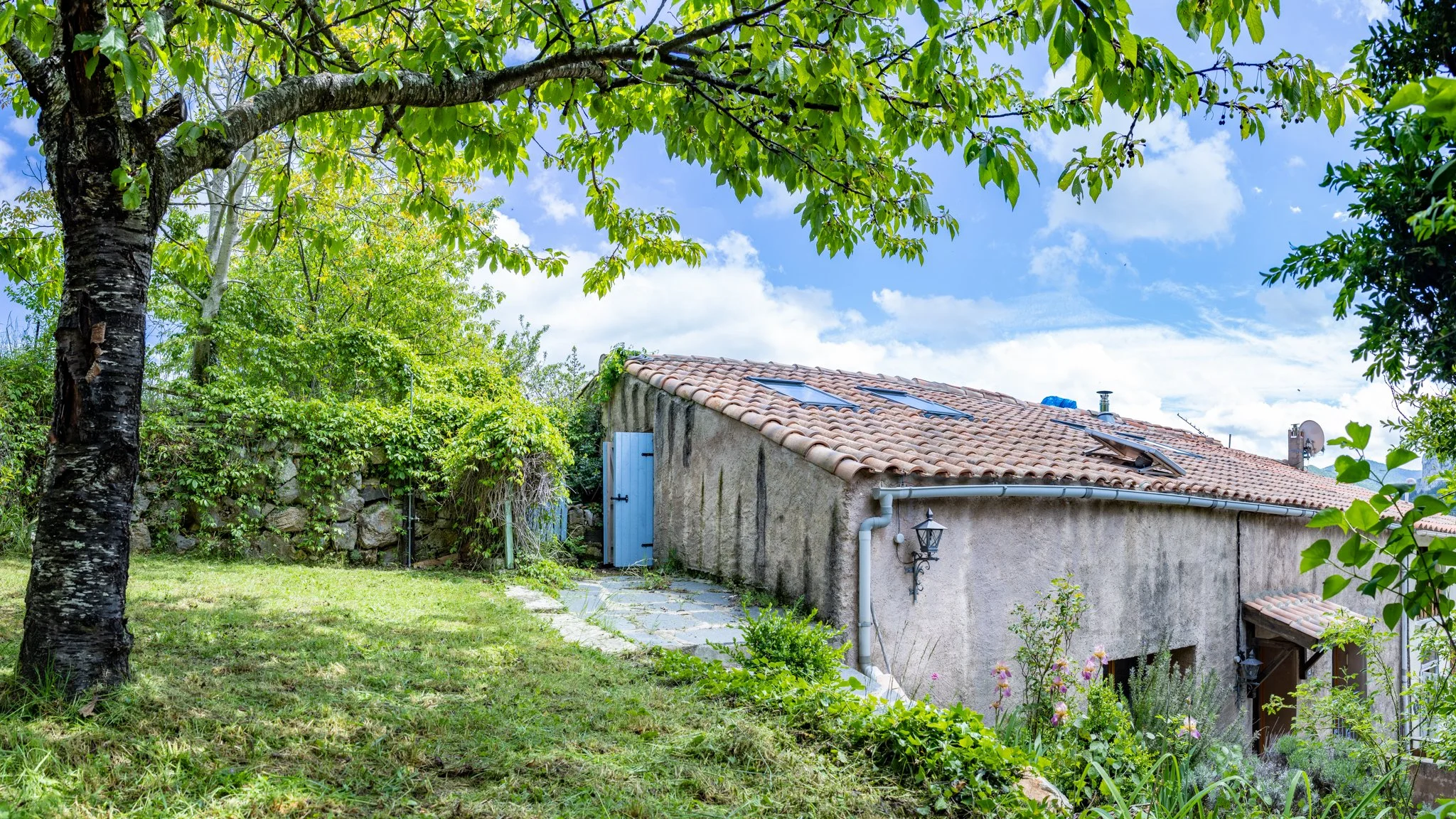 View from the garden