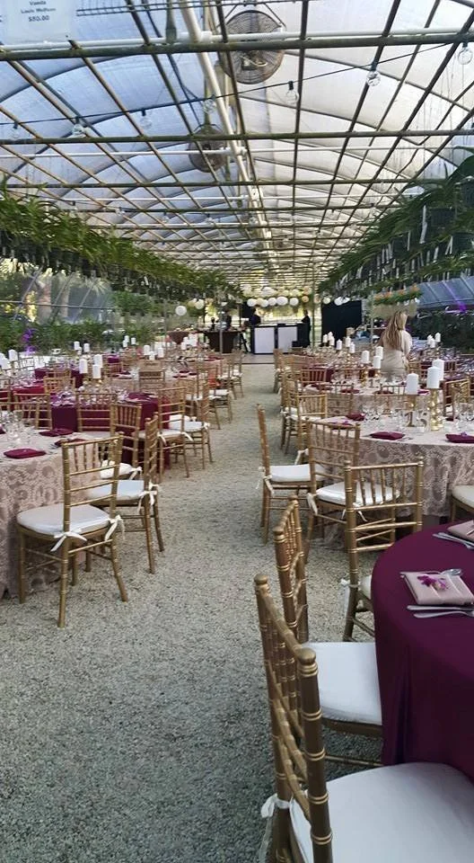 Indoor event space decorated for a banquet with round tables, gold chairs, purple tablecloths, and hanging lanterns, under a transparent ceiling with greenery.