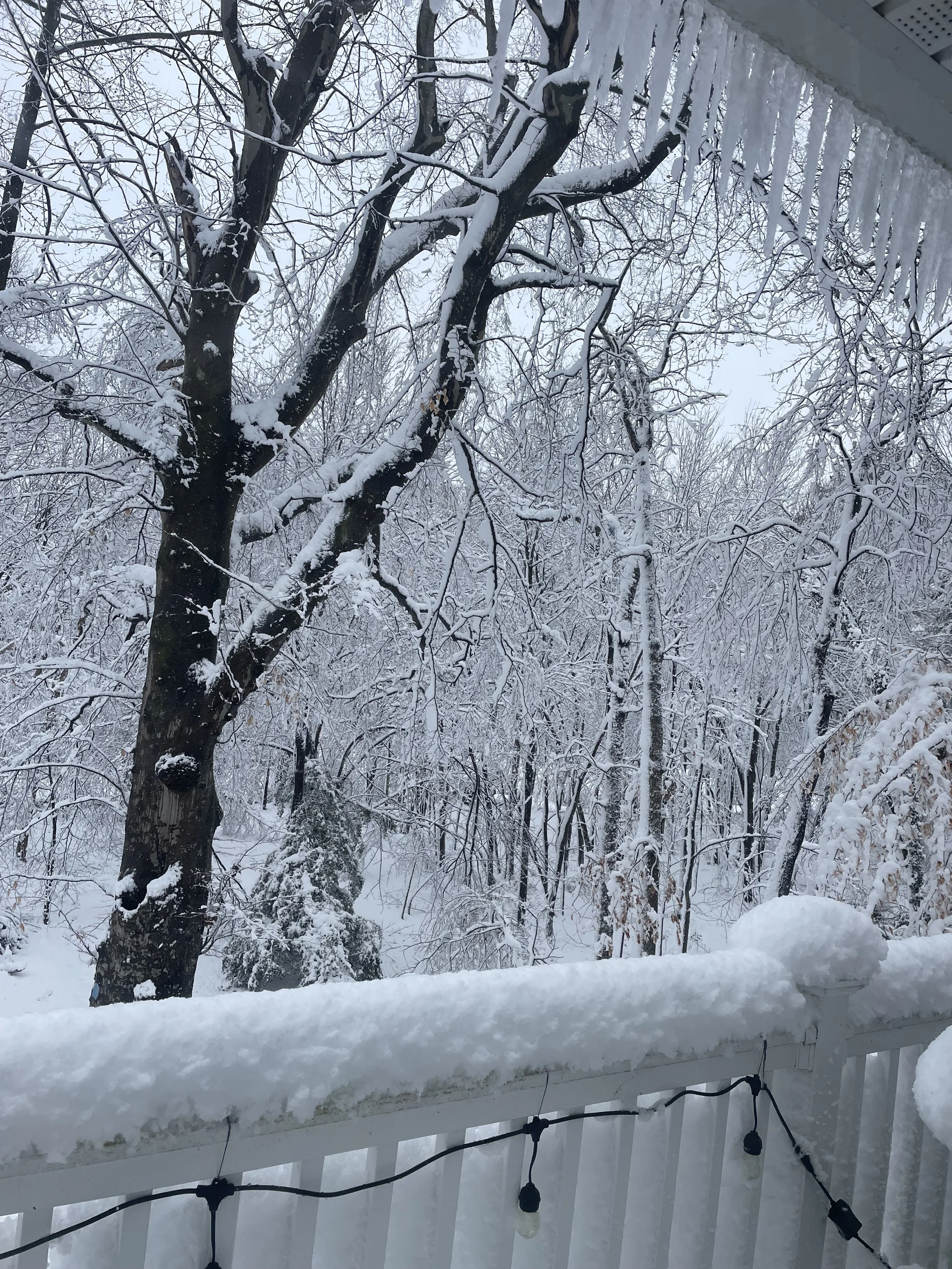February - Snow, Ice and Love!