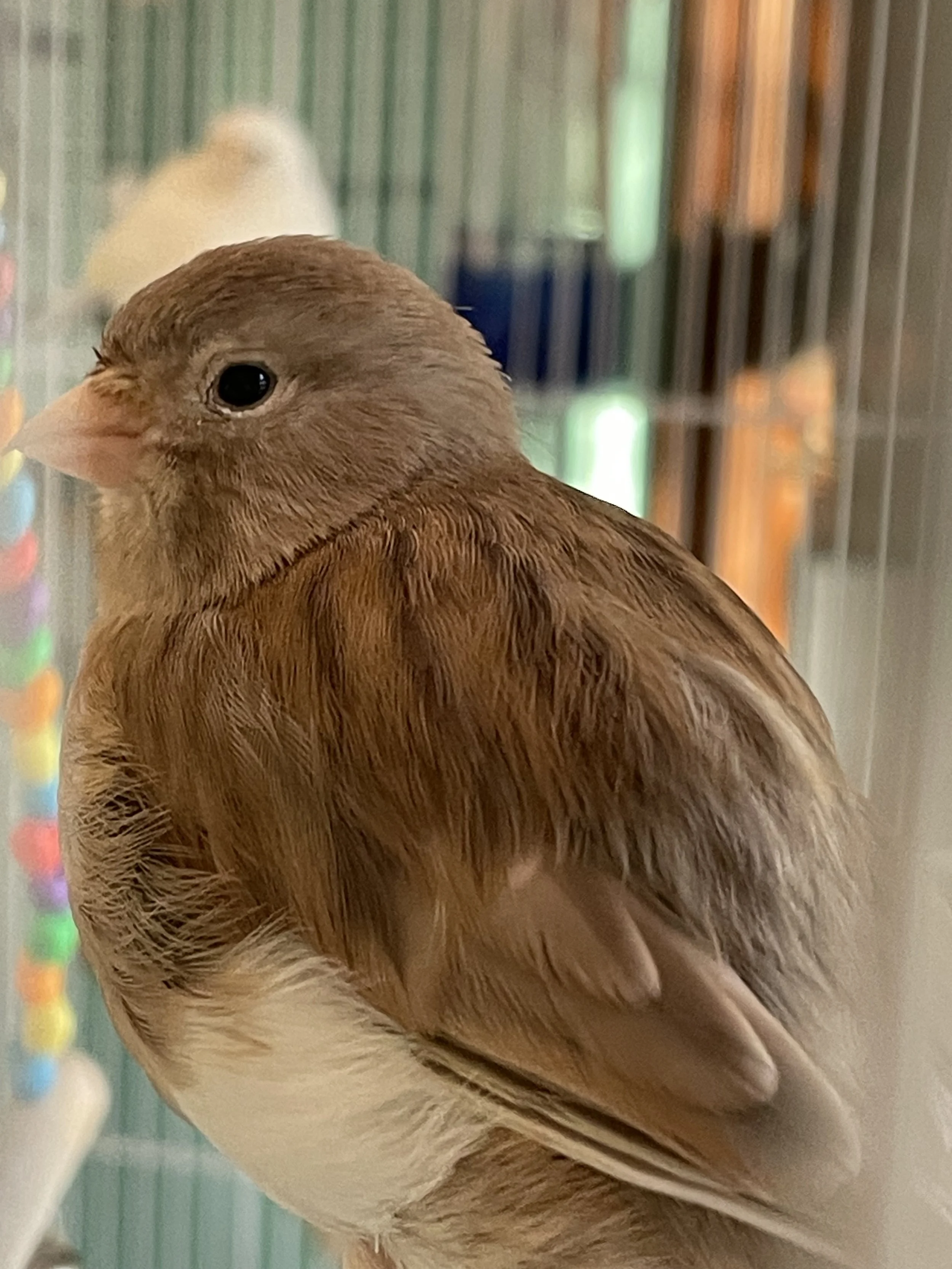 Happiest of Holidays - 2025