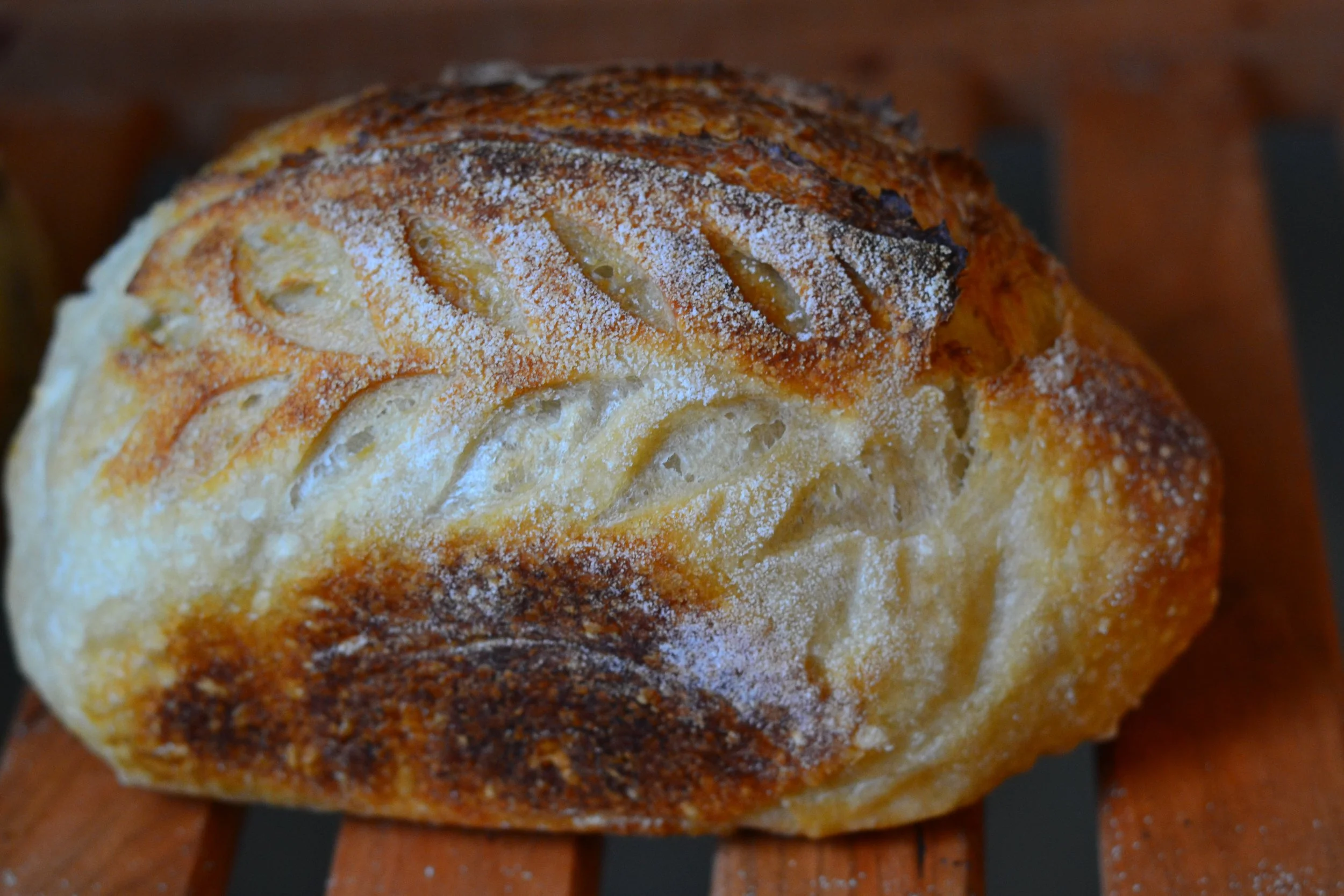 MINI PLAIN SOURDOUGH