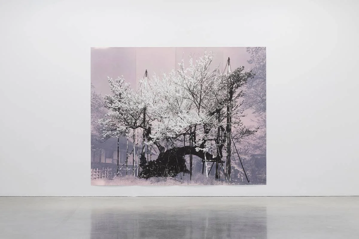 Tacita Dean, International Art Series MCA Sydney 2023-24