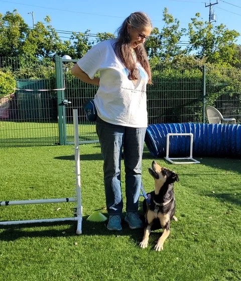 Dog training instructor with her dog doing an obedience down