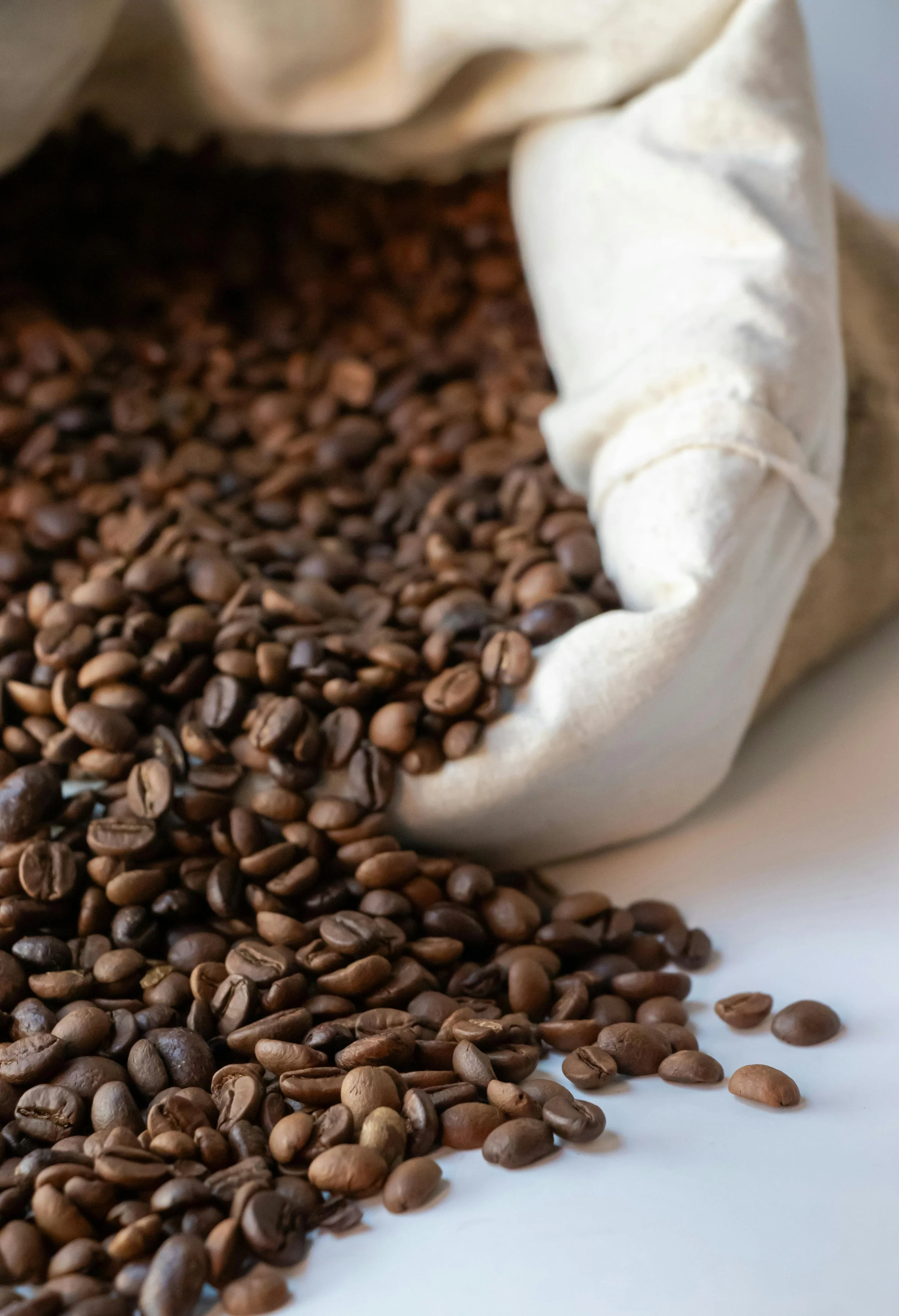 Products Coming Soon!