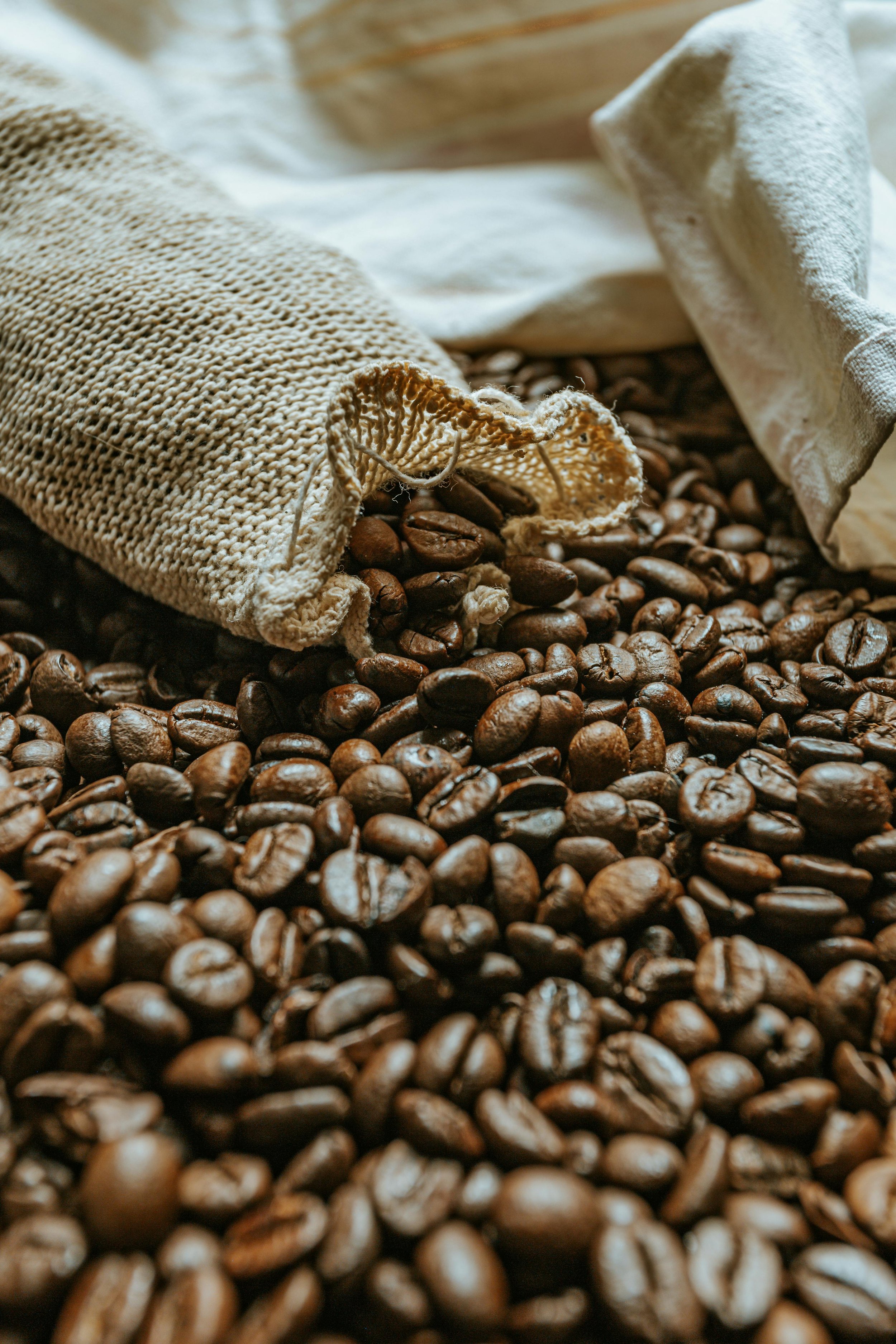 Close-up of dark roasted coffee beans spilling from a beige burlap sack onto the surface.