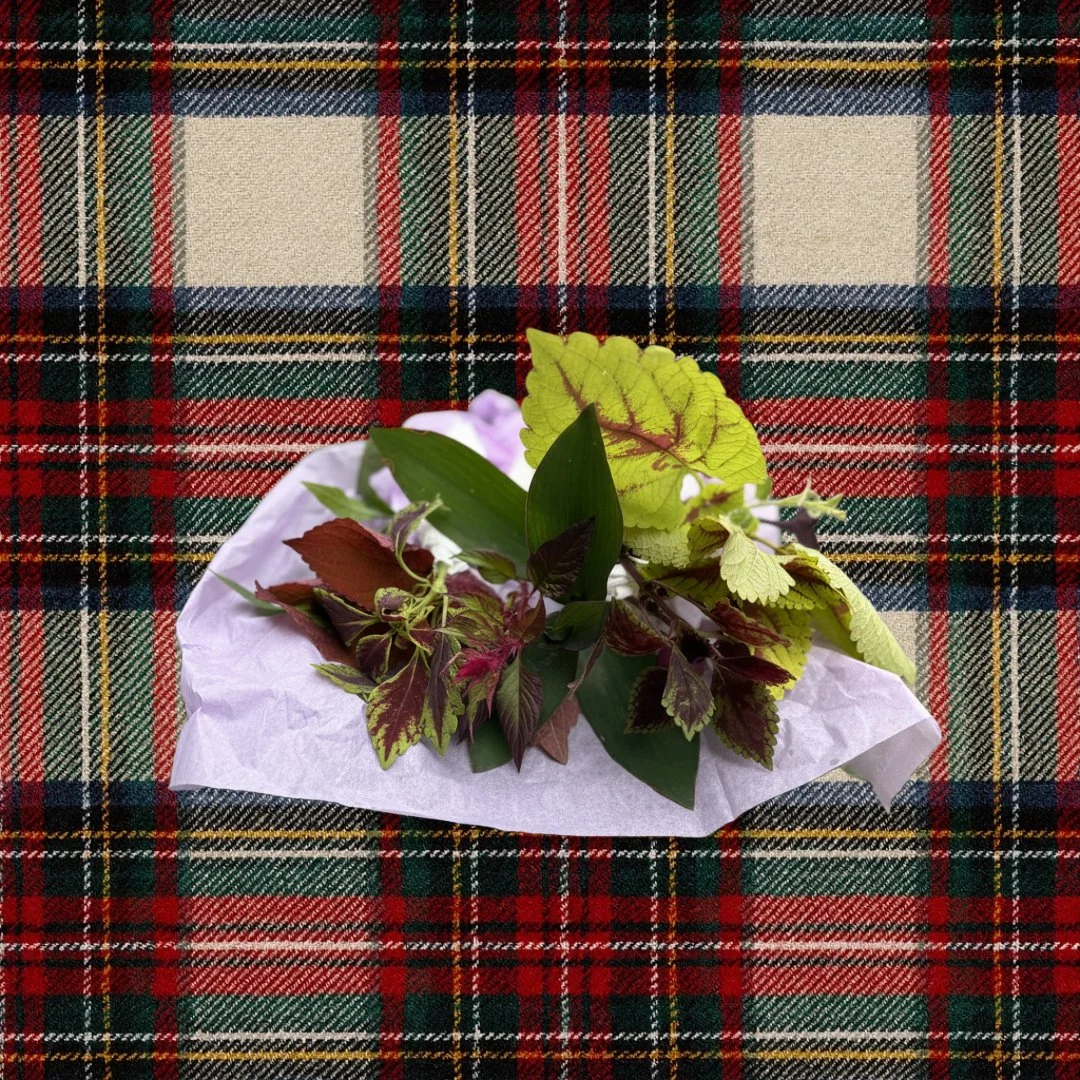 Small Cuttings Bundle