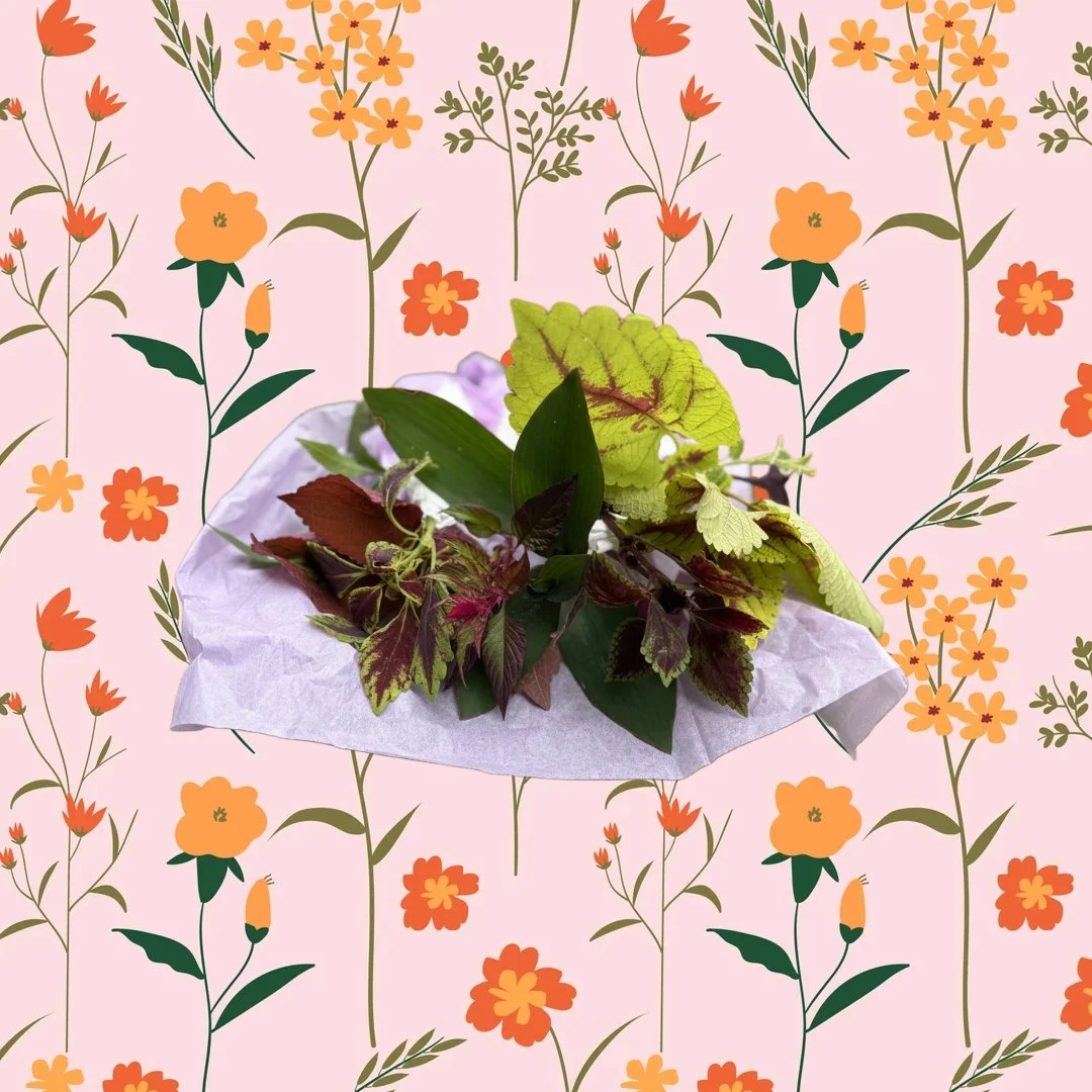 Small Cuttings Bundle