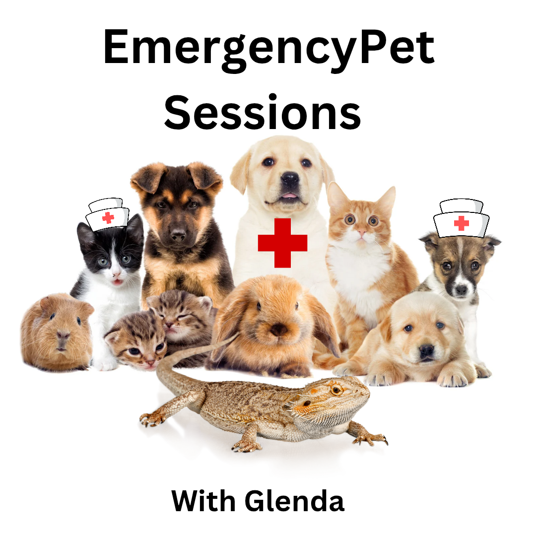 Emergency Pet Session With Glenda