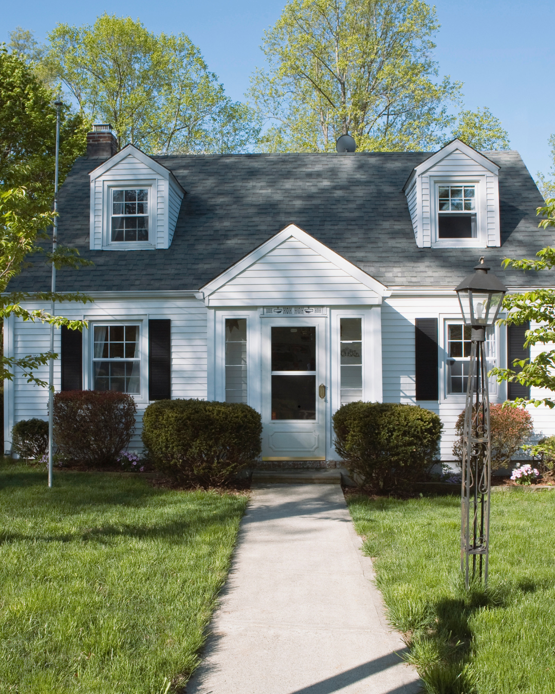 Standard Land & House Clearing with Susie