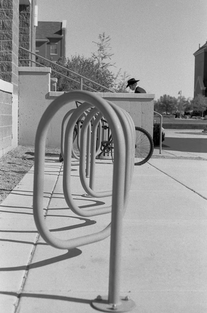 ZucchiniFrancesca001a (1).JPG