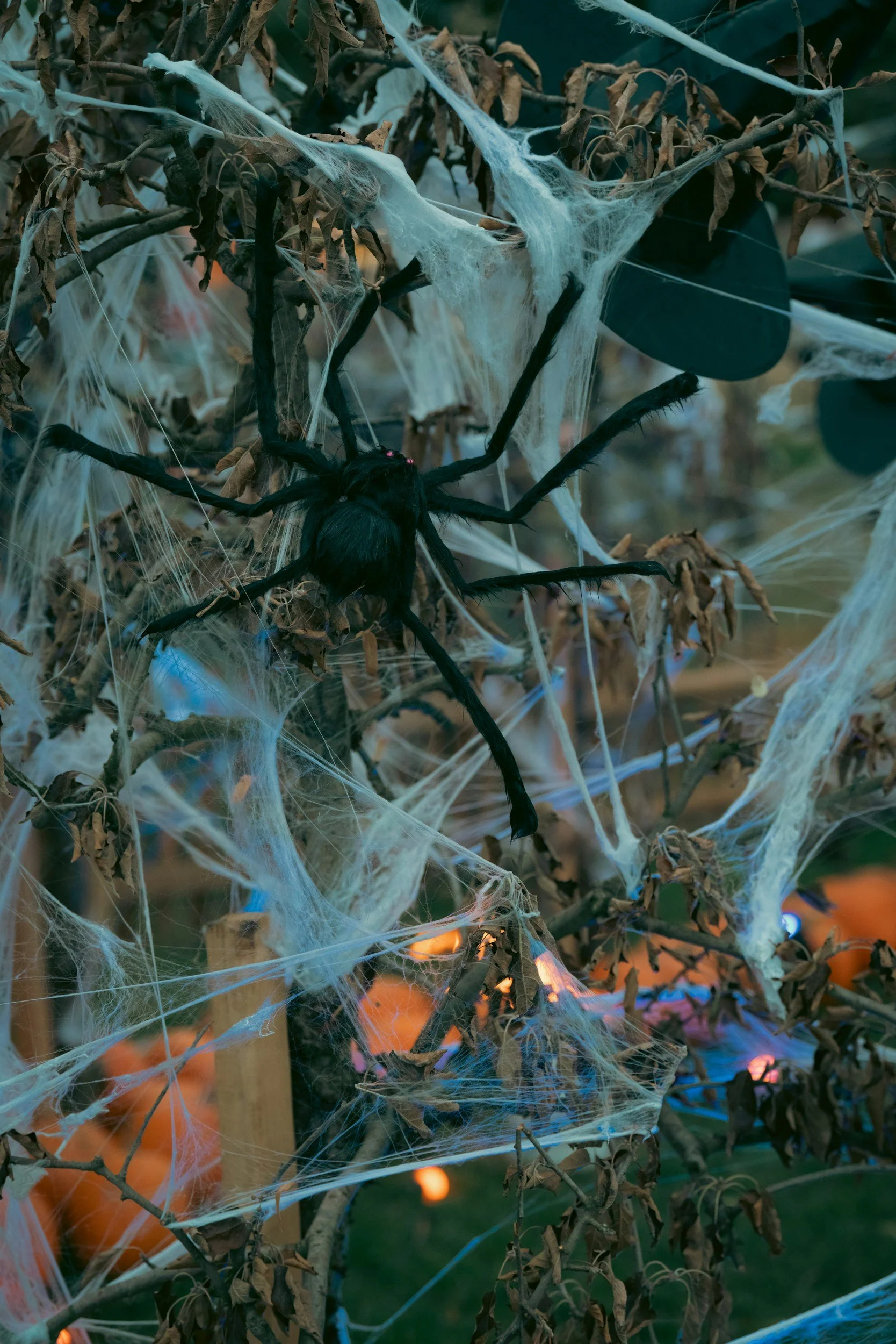 Fake spiderweb and spider Halloween decorations