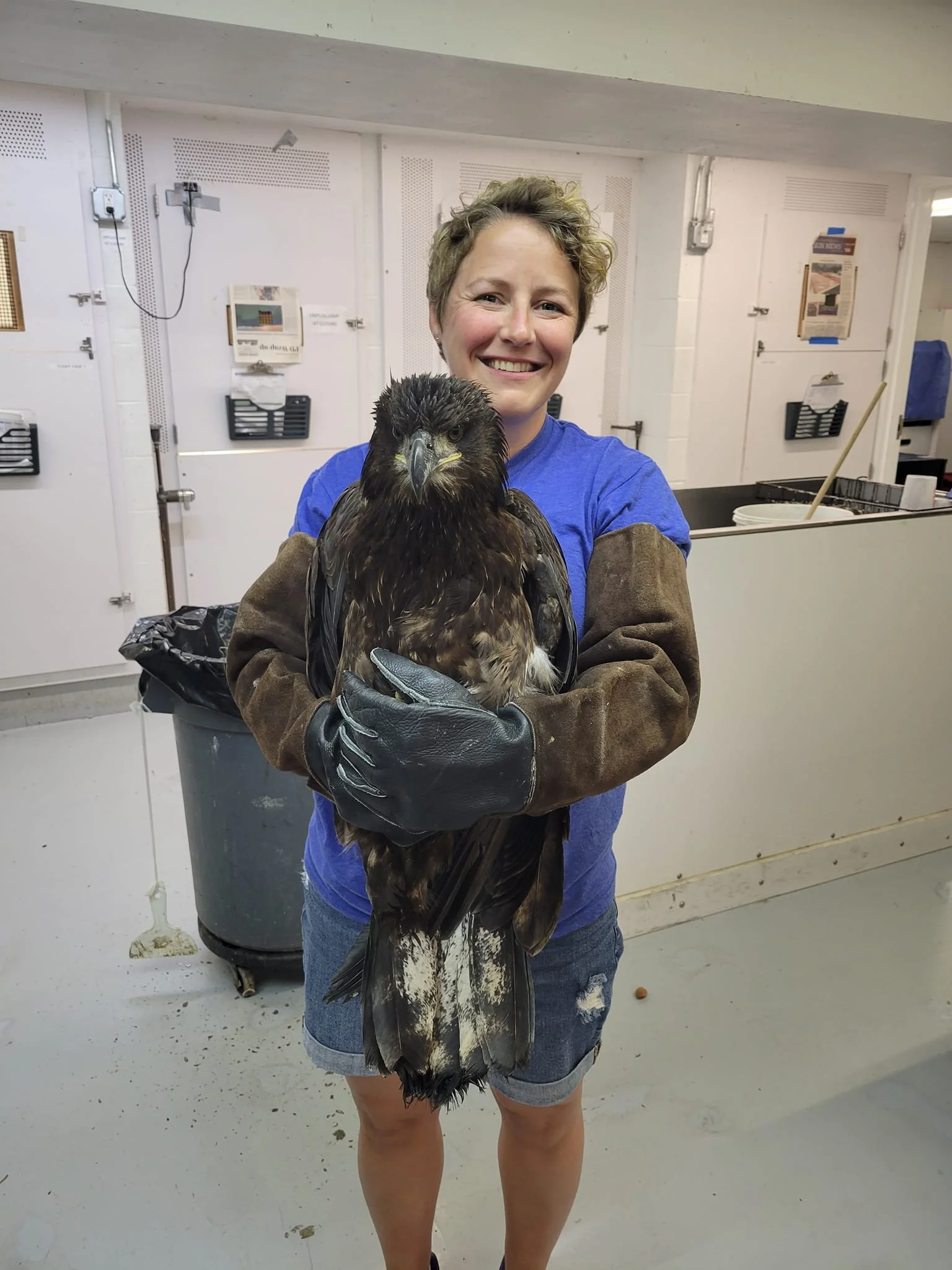 A woman with short curly hair smiling while holding a juvenile eagle, indoors in a facility with white walls and equipment in the background.