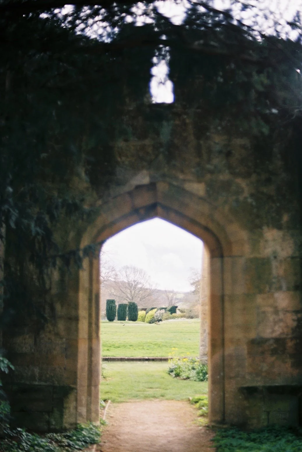IMG_6819.jpeg