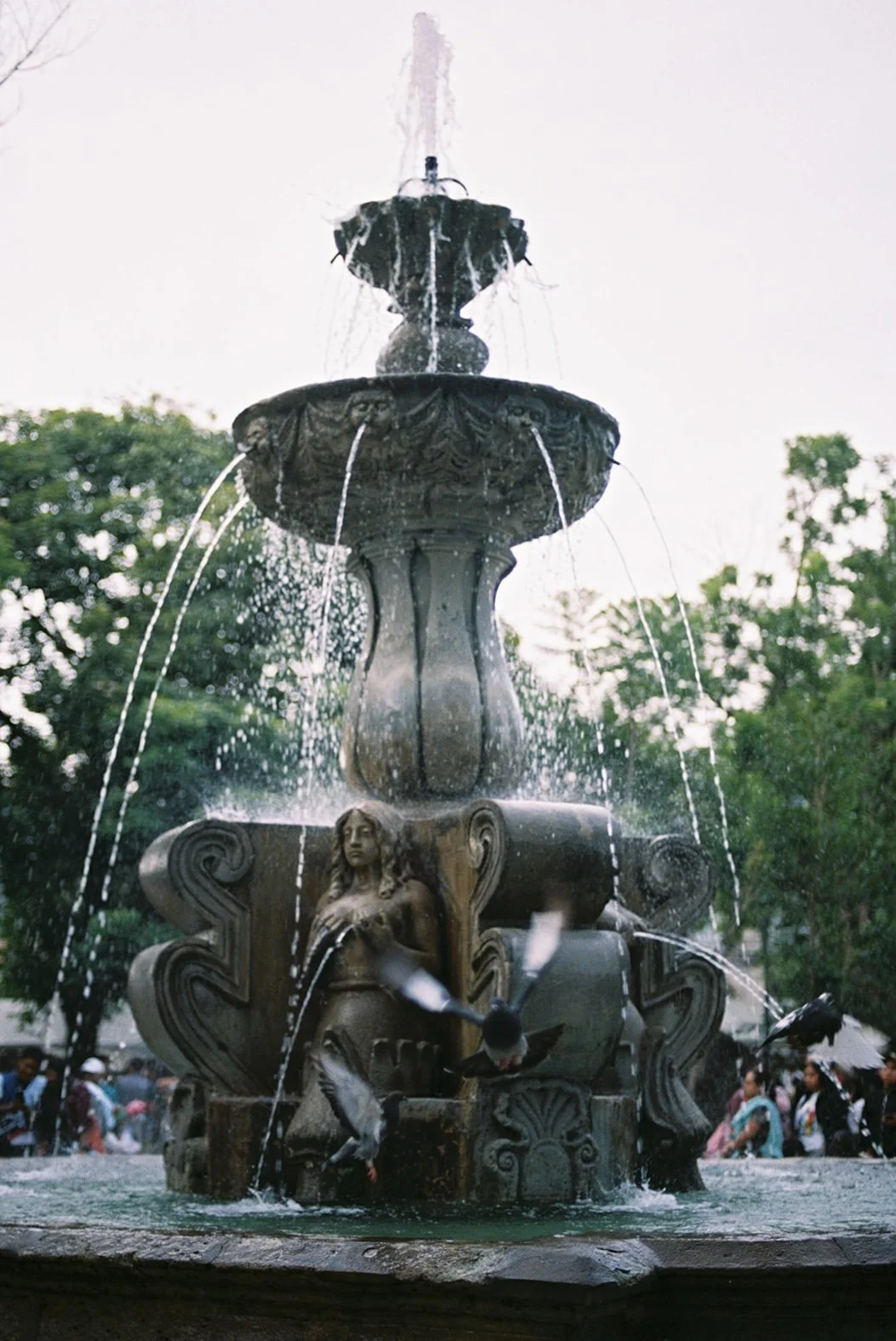 IMG_0444.jpeg
