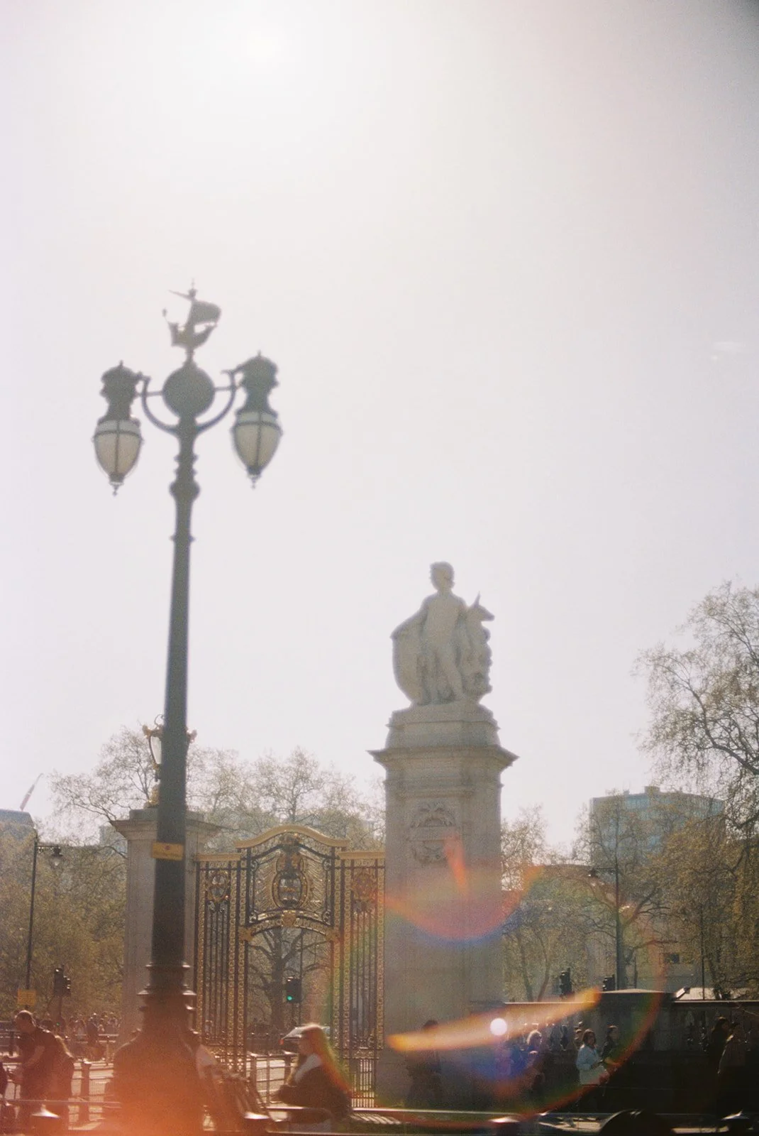 IMG_6633.jpeg