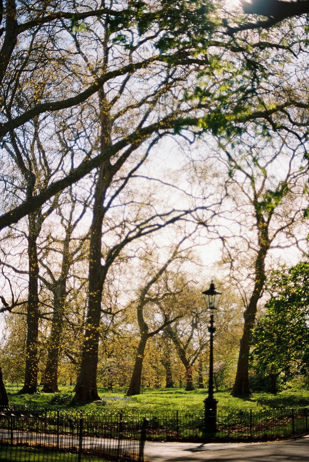 Silly Americans we were, thinking walking diagonally across the entirely of Kensington Park was no biggie...