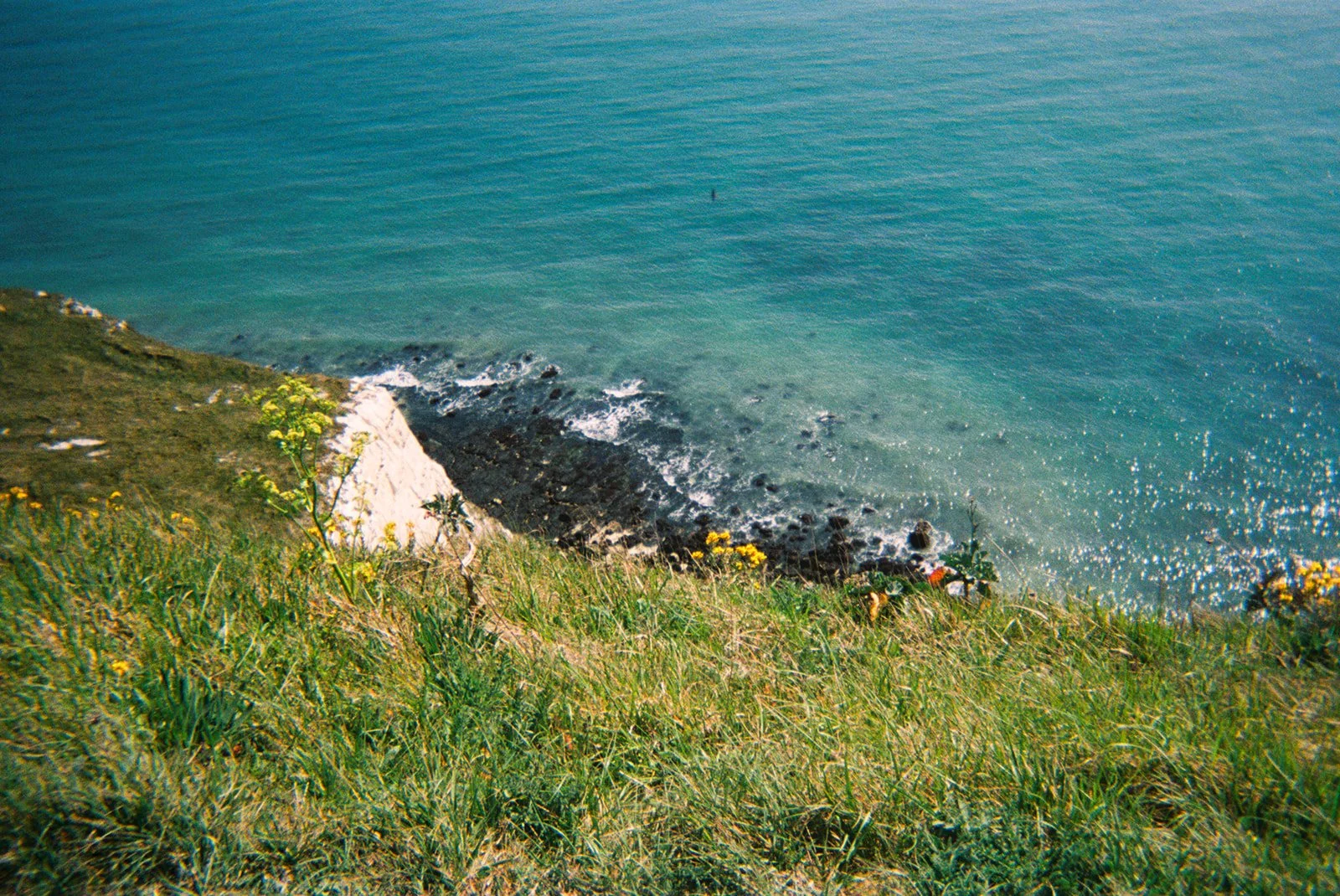 IMG_6829.jpeg