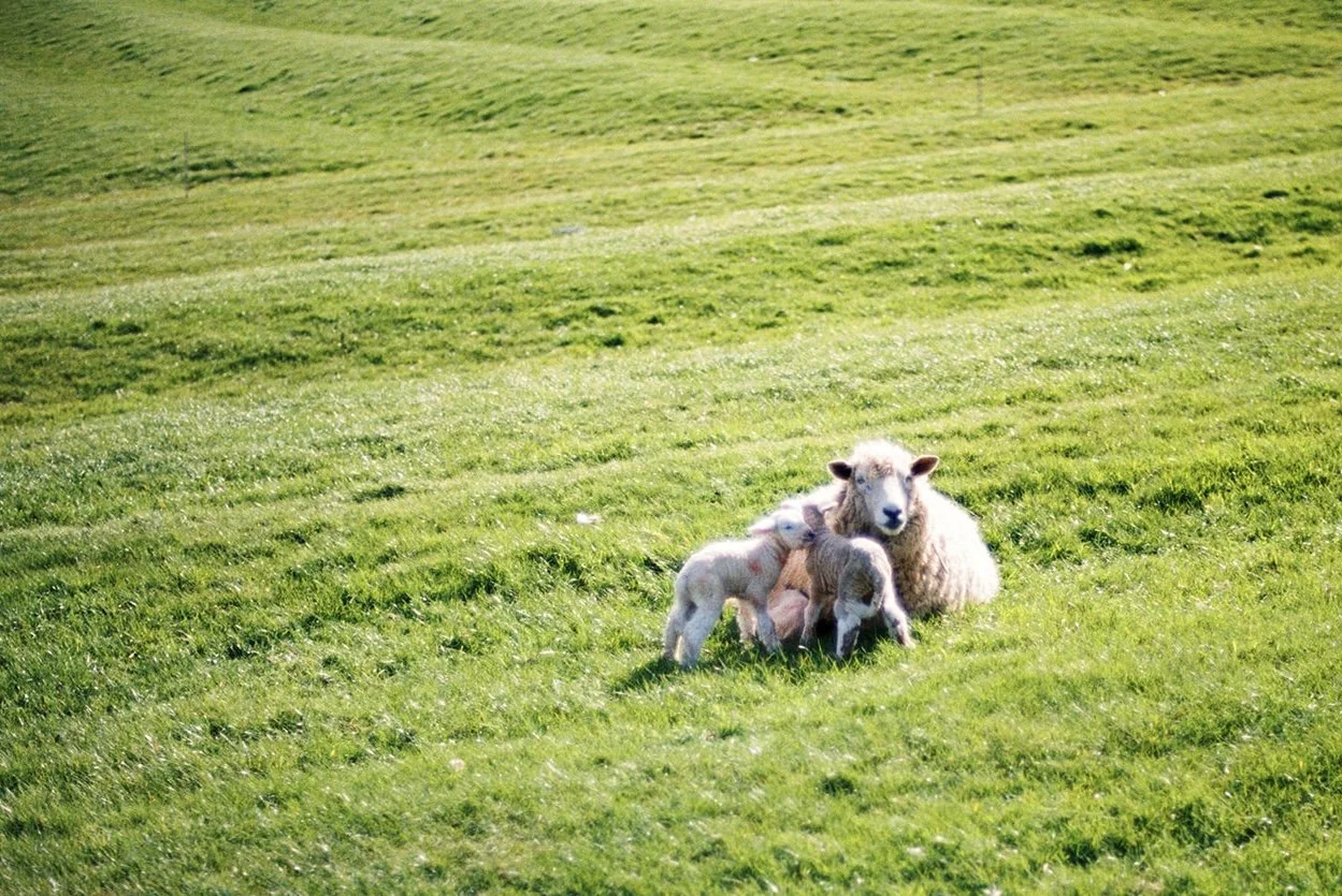 Chipping Camden, England, UK - April 2026