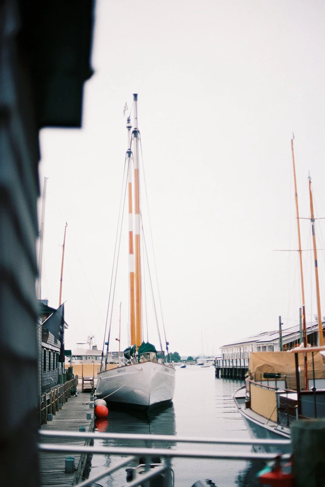 IMG_0533.jpeg