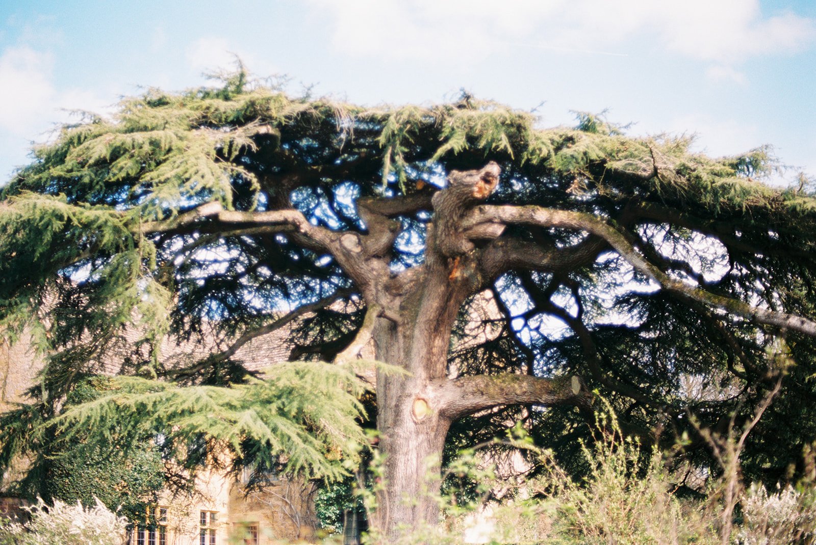 High top over Hidcote Gardens.