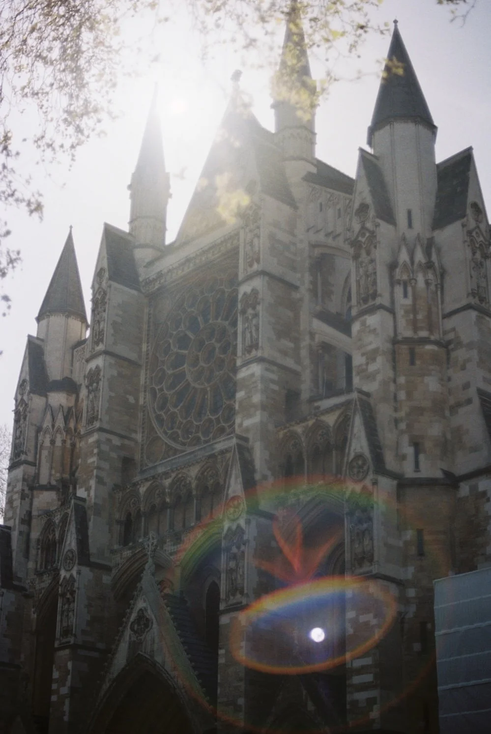 IMG_6621.jpeg
