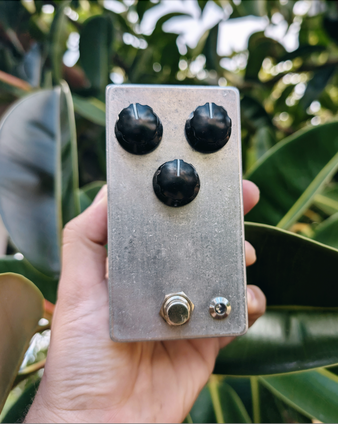 Western Sun Fuzz Pedal
