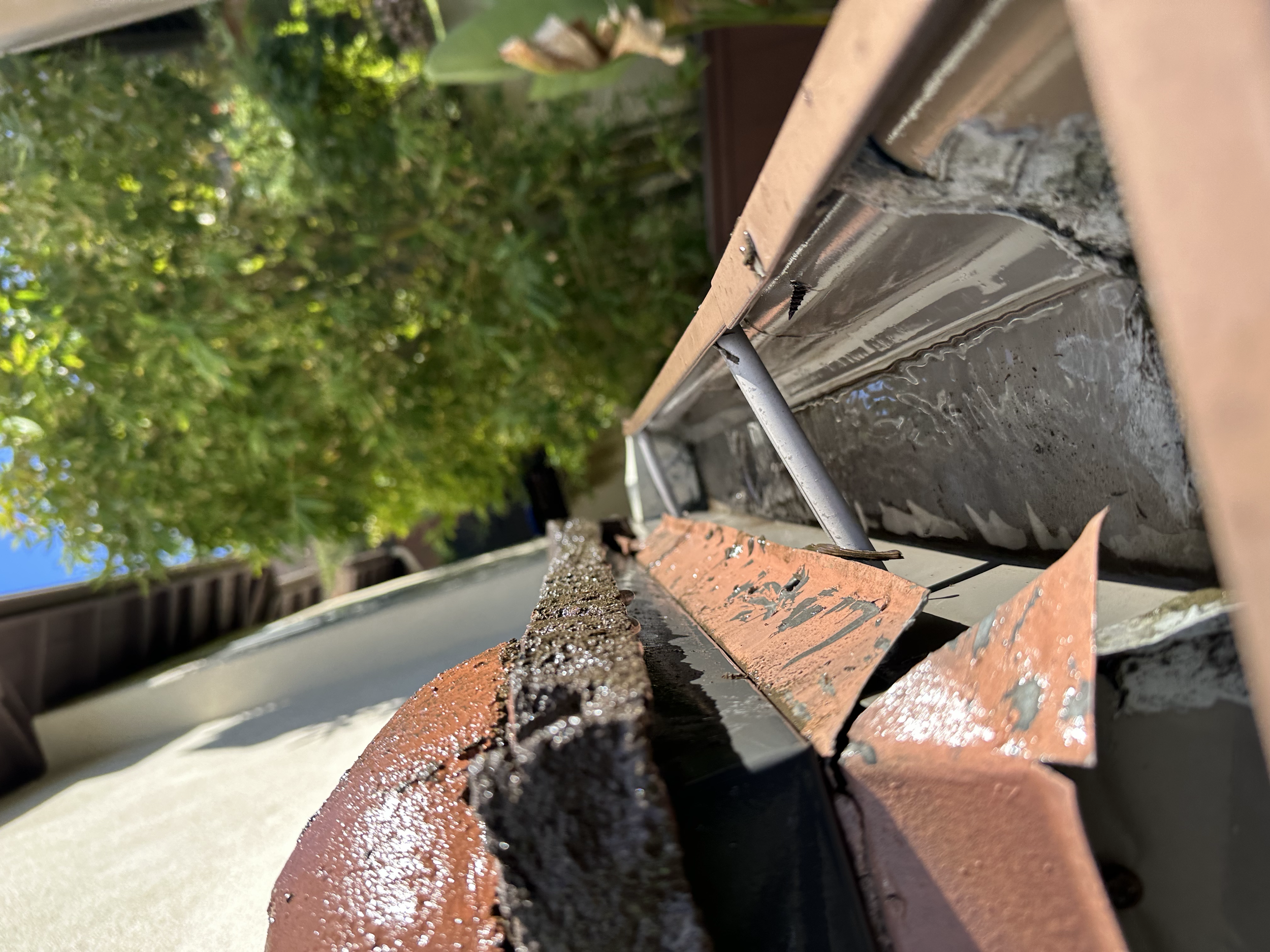 Close-up view of a gutter and roof installation with roofing nails and flashing, with green leafy trees in the background.