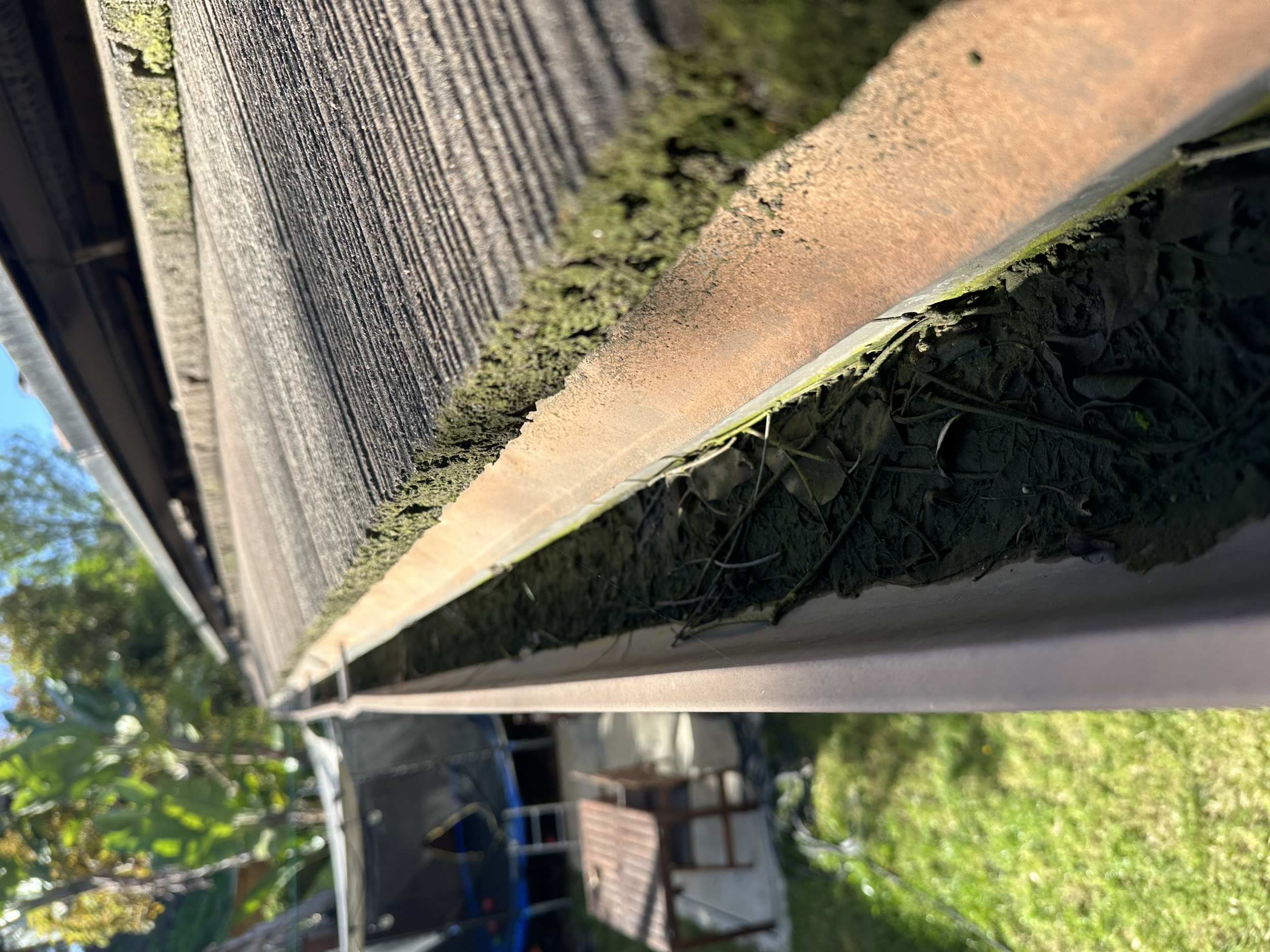 Close-up view of the edge of a weathered wooden and brick structure with moss and dirt in sunlight, with a garden and trees in the background.