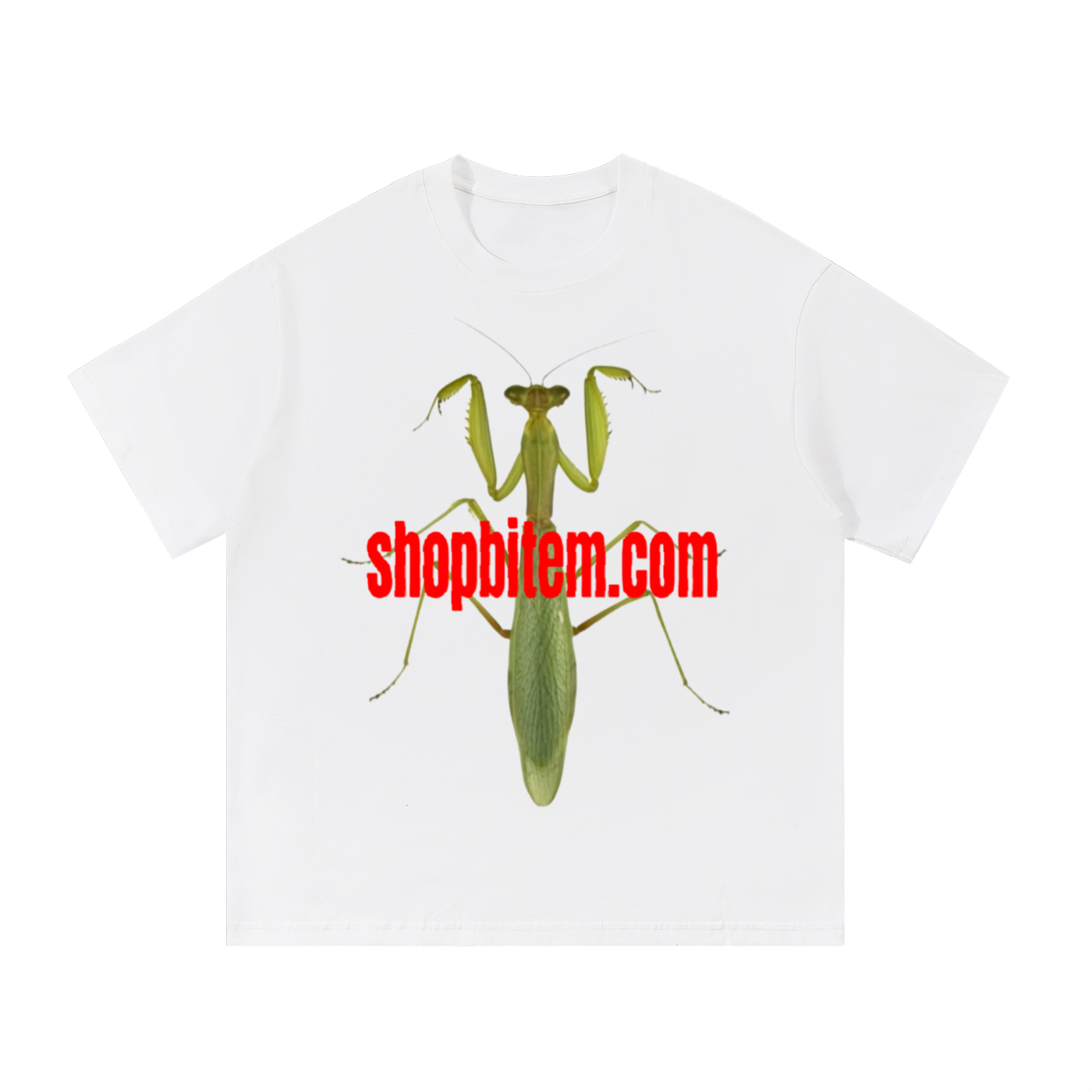 A MANTIS GRAPHIC TEE