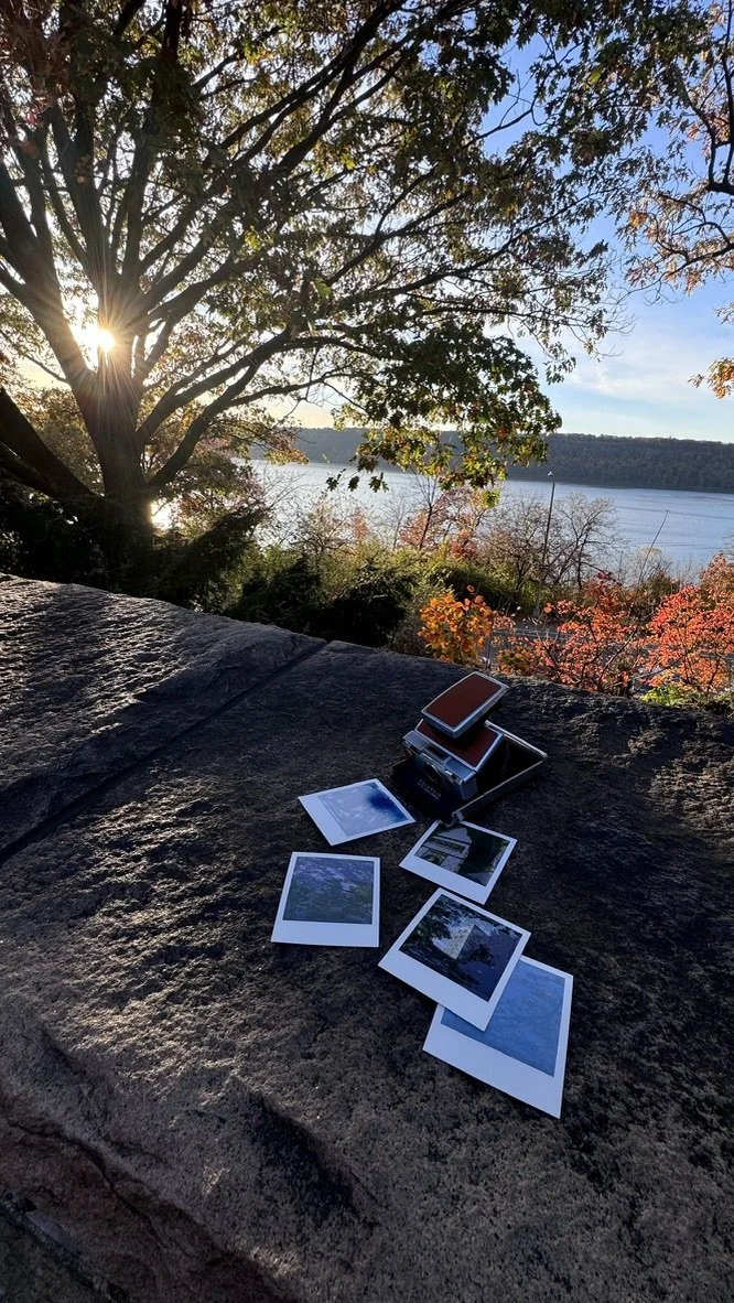 40 Additional Polaroid Shots