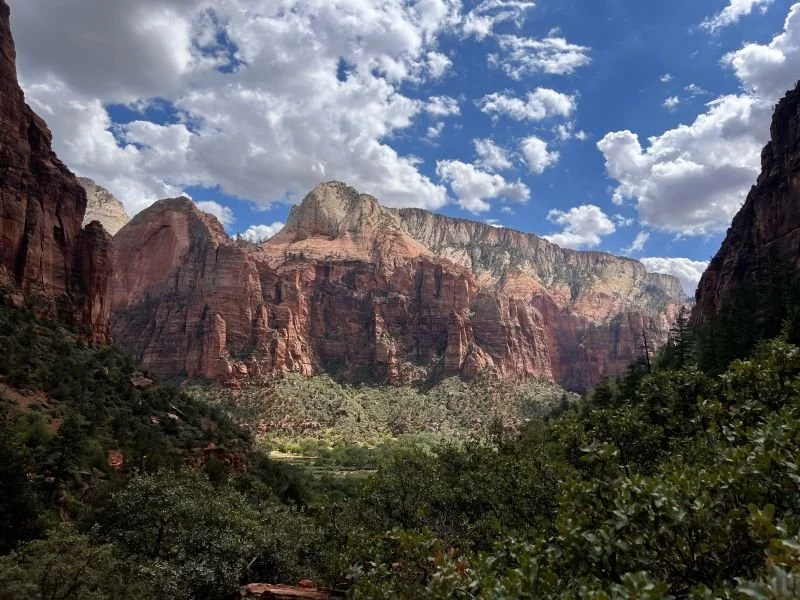 1700609164853 (1).jpeg