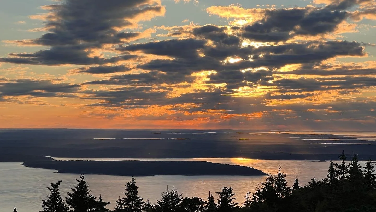 23A32822-7C72-449A-B21E-57B21B6725BF (1).JPG