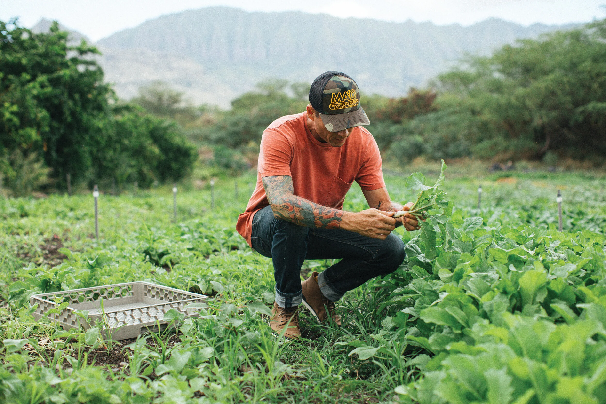 brand campaign content creation art direction imagery