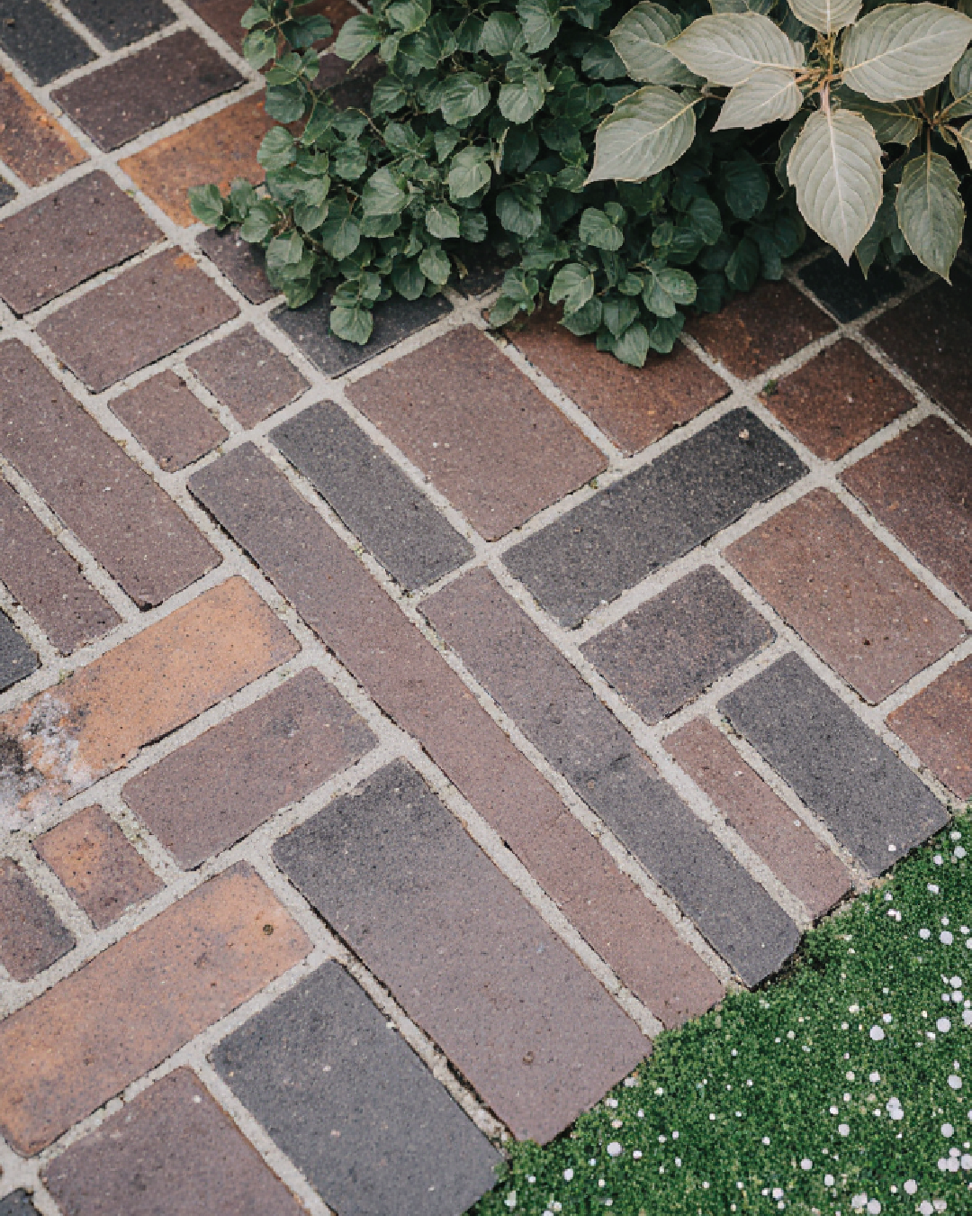 How Much Does a Garden Designer, Landscape Designer or Landscape Architect Cost in Australia?