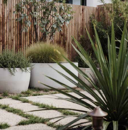“Gramina gave us all the information we needed with instructions and diagrams to simplify the process. No more buying plants that won’t grow in our backyard!”