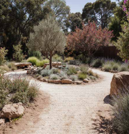 “Exceeded my expectations. The plants and landscaping were tailored to my difficult conditions, and it even showed me how to build various elements myself. Incredible value for such expert advice.”
