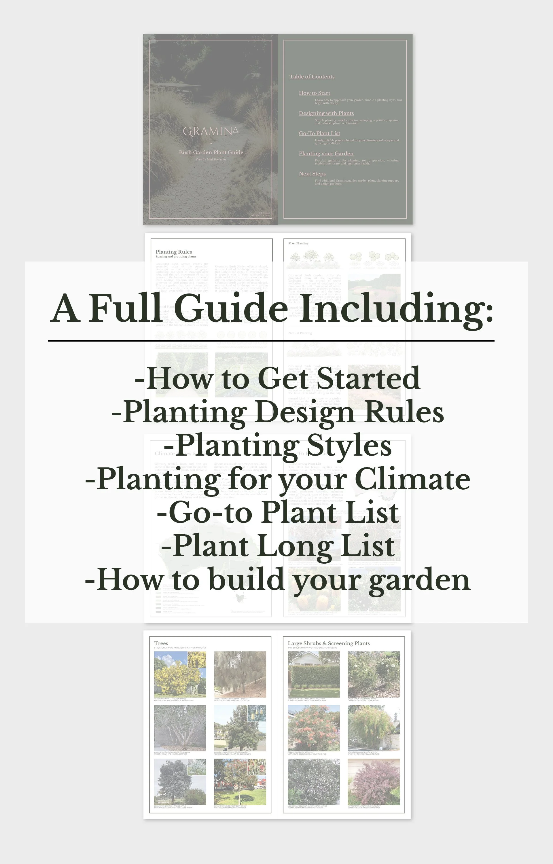 PLANTING GUIDE - 2.jpg