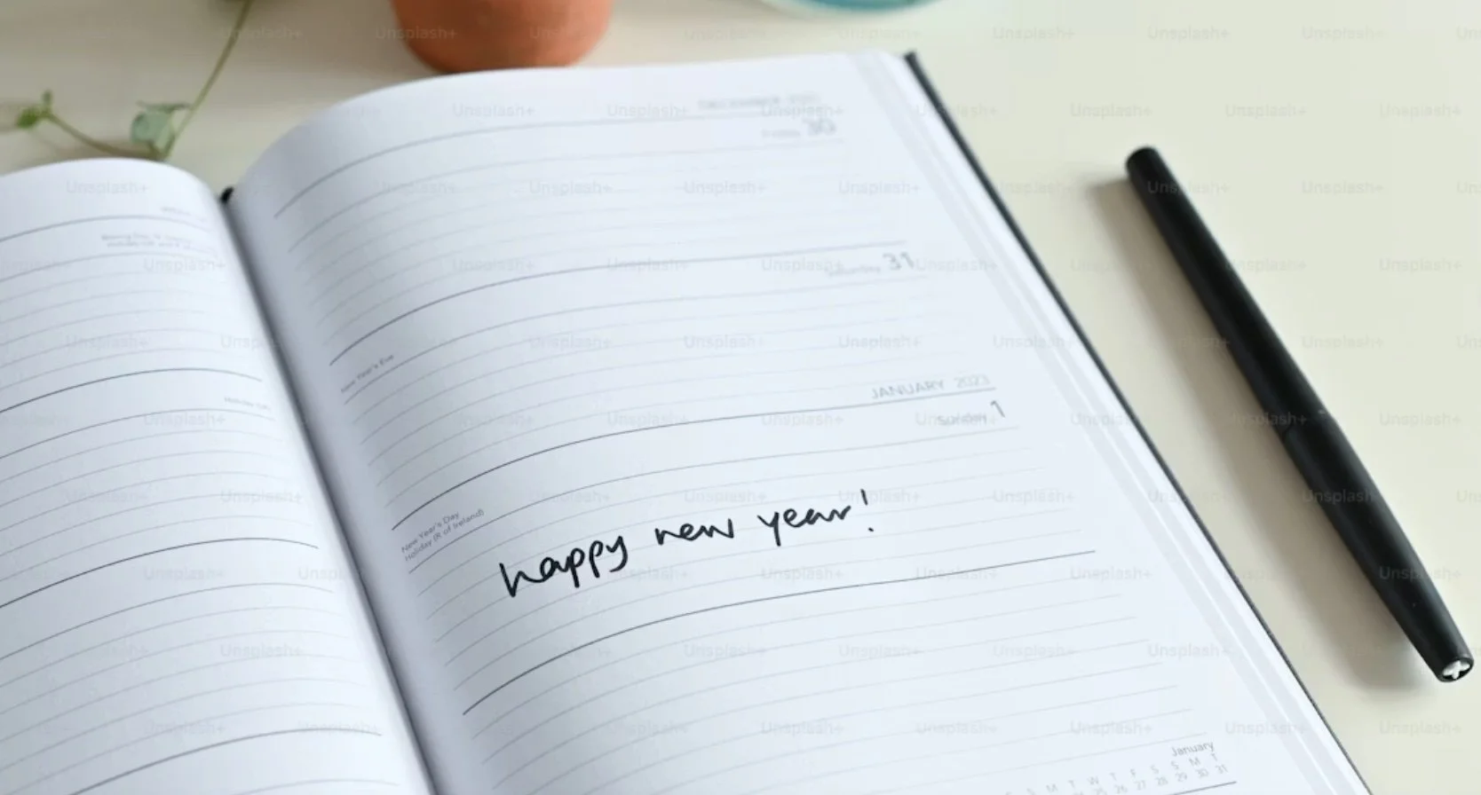 Monthly Collection - January