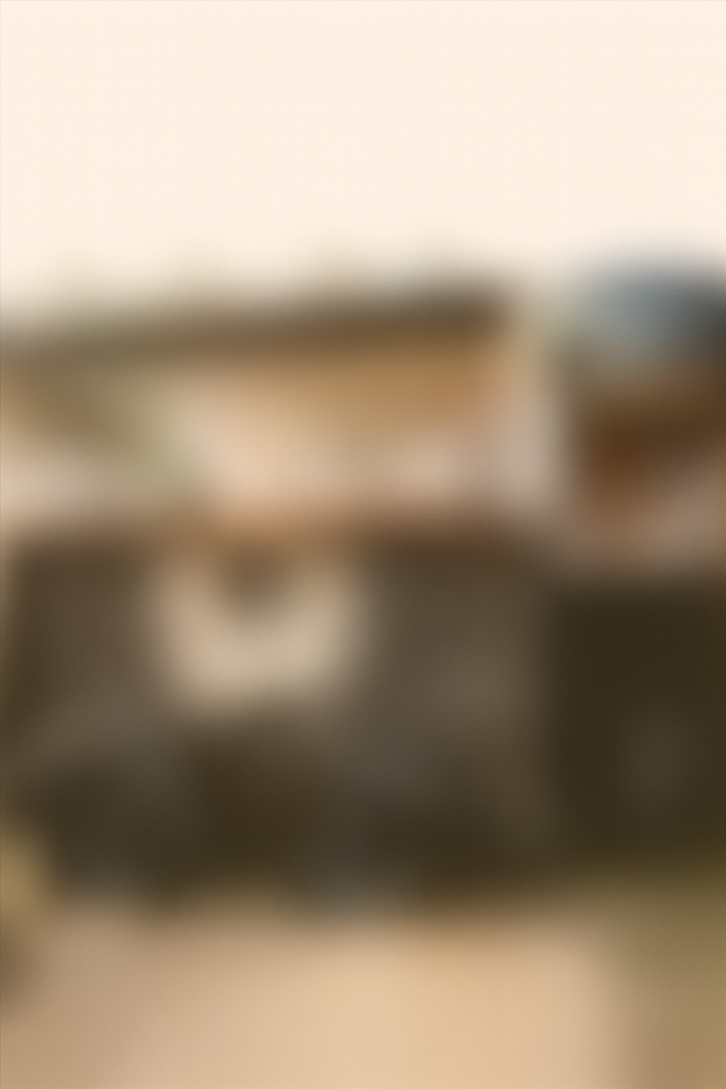 The image is highly blurred and indistinct, making it difficult to identify specific objects or details.