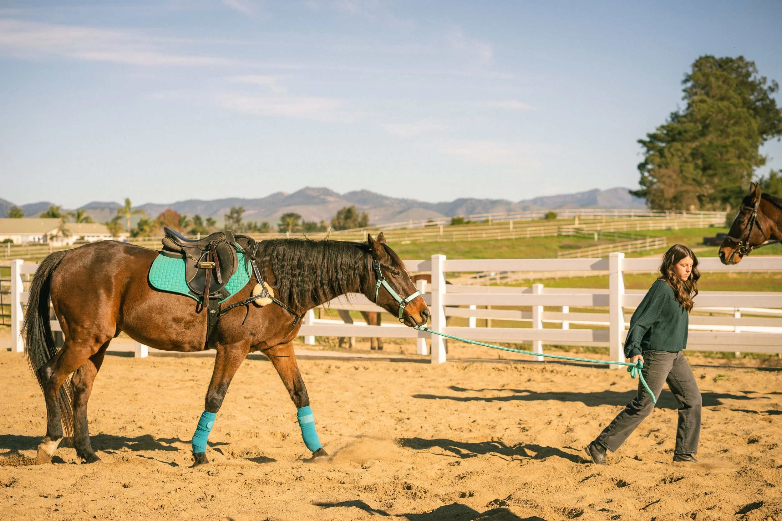 Gift Certificate - 1hr Private Lesson