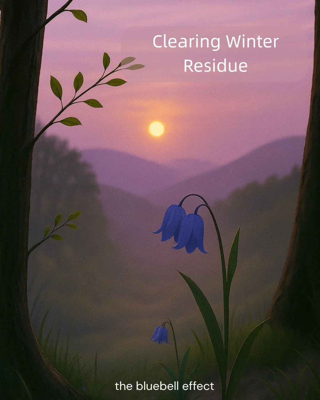 Spring doesn&rsquo;t rush its arrival - and neither do you.
Wellness can begin with the smallest acts of clearing.
One breath. One pause. One soft release.

💚 Save this if your body feels like it&rsquo;s waking up slowly.

#WellnessWednesday #TheBlu