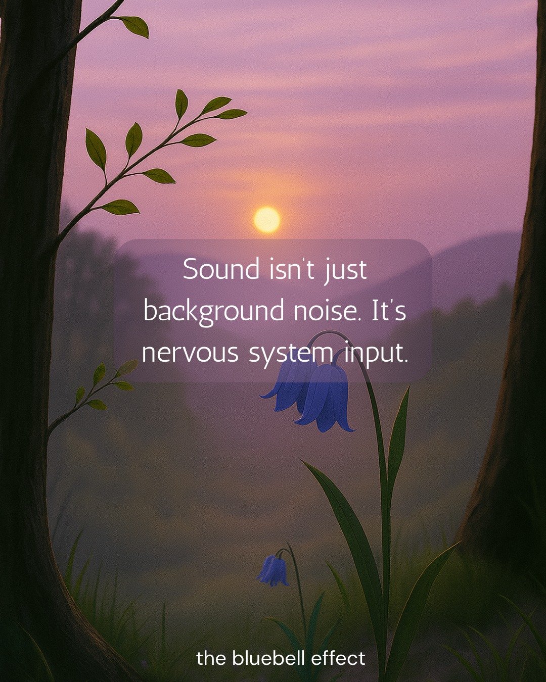 Sound influences the vagus nerve, which plays a key role in emotional regulation.

Sustained tones help anchor attention and gently shift brainwave states.

You don&rsquo;t have to &ldquo;do&rdquo; anything.
Just listen.

Save this and try it with yo