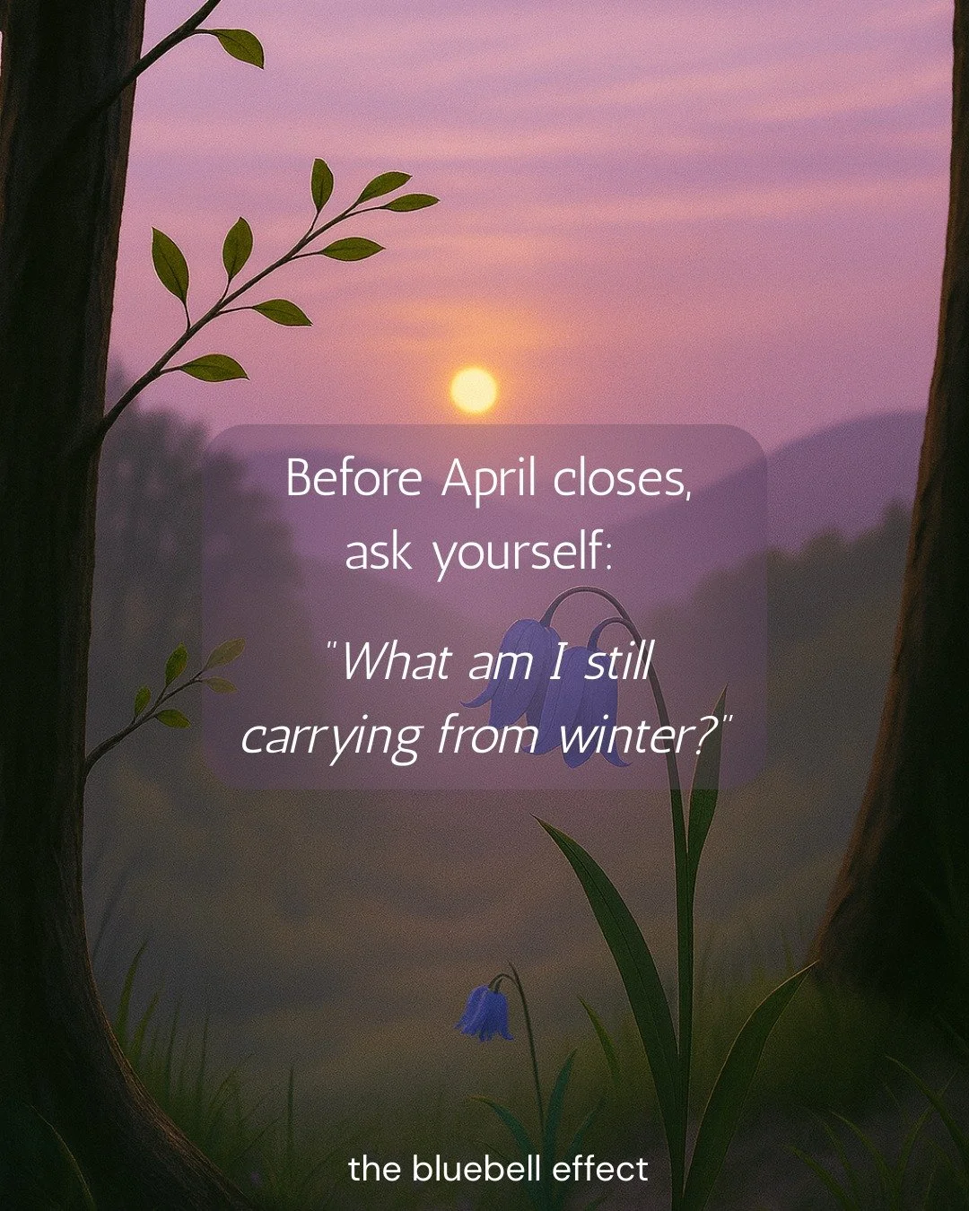 Emotional clearing doesn&rsquo;t mean forcing positivity.

It means allowing heaviness to move &mdash; gently.

Your body and energy field respond to repetition.
Small rituals create real shifts over time.

You&rsquo;re allowed to bloom gradually.

#
