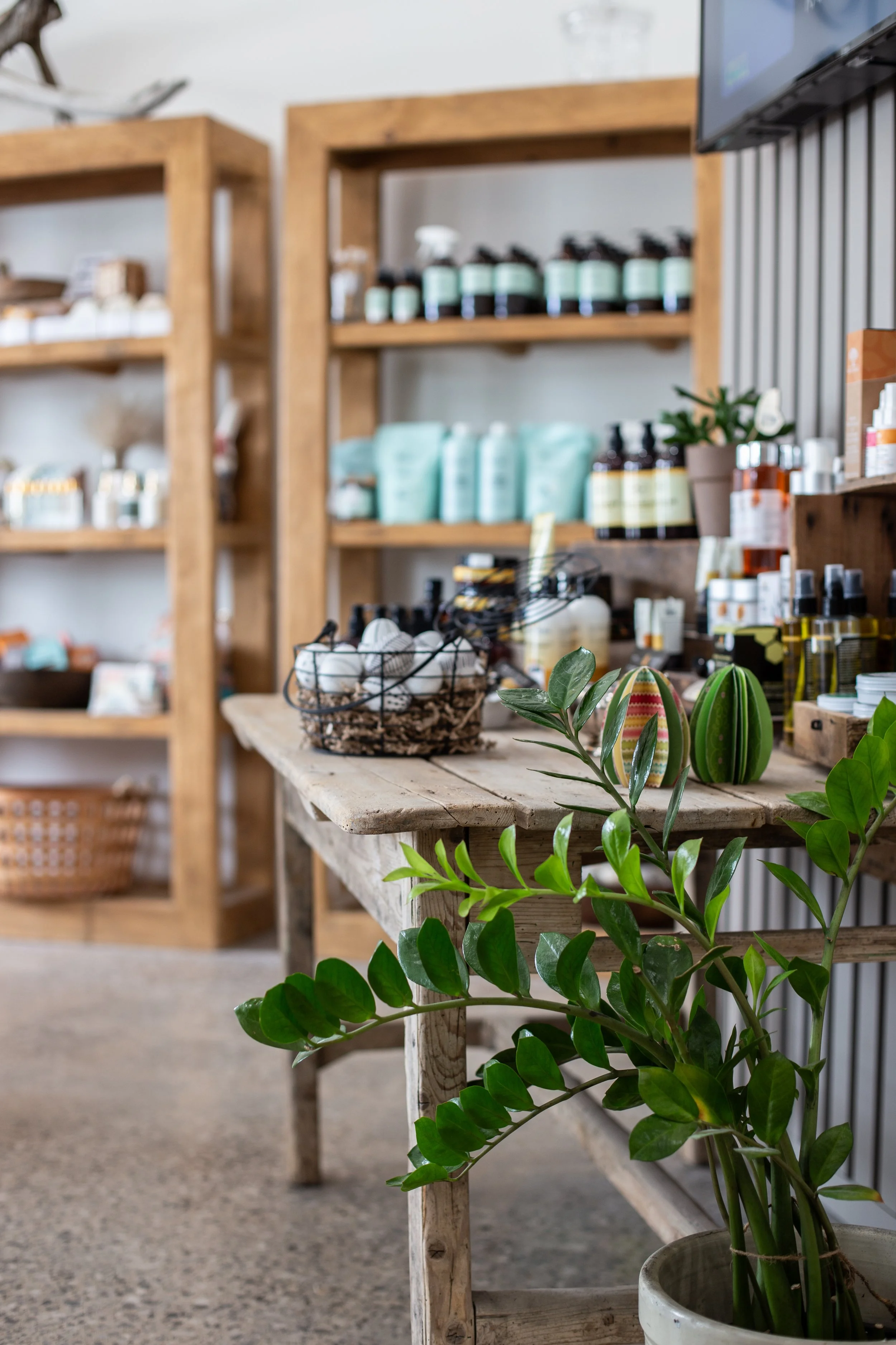 Interior of a store with wooden shelves stocked with skincare and health products, a rustic wooden table displaying decorative items, and a potted green plant in the foreground.
